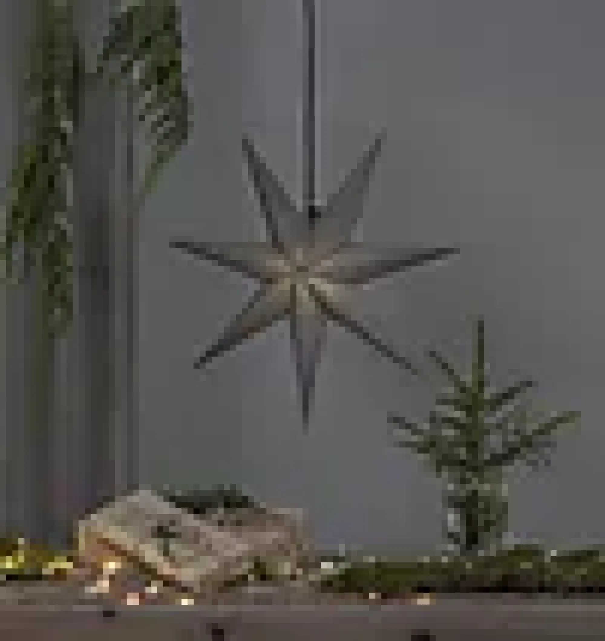 Adventstjerne i papir grå 70cm-Star trading Online