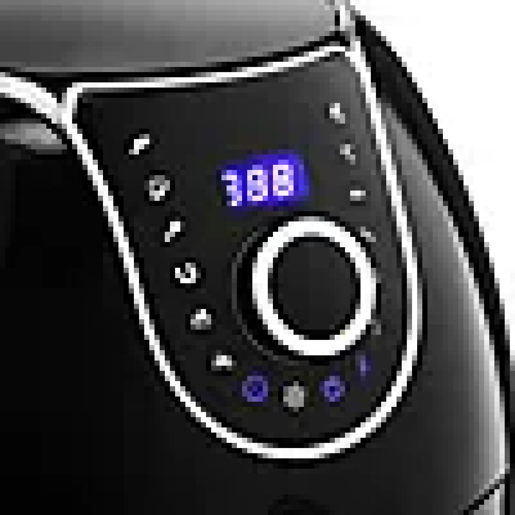 Airfryer XXL 5,2l med digital kontroll-Princess Clearance