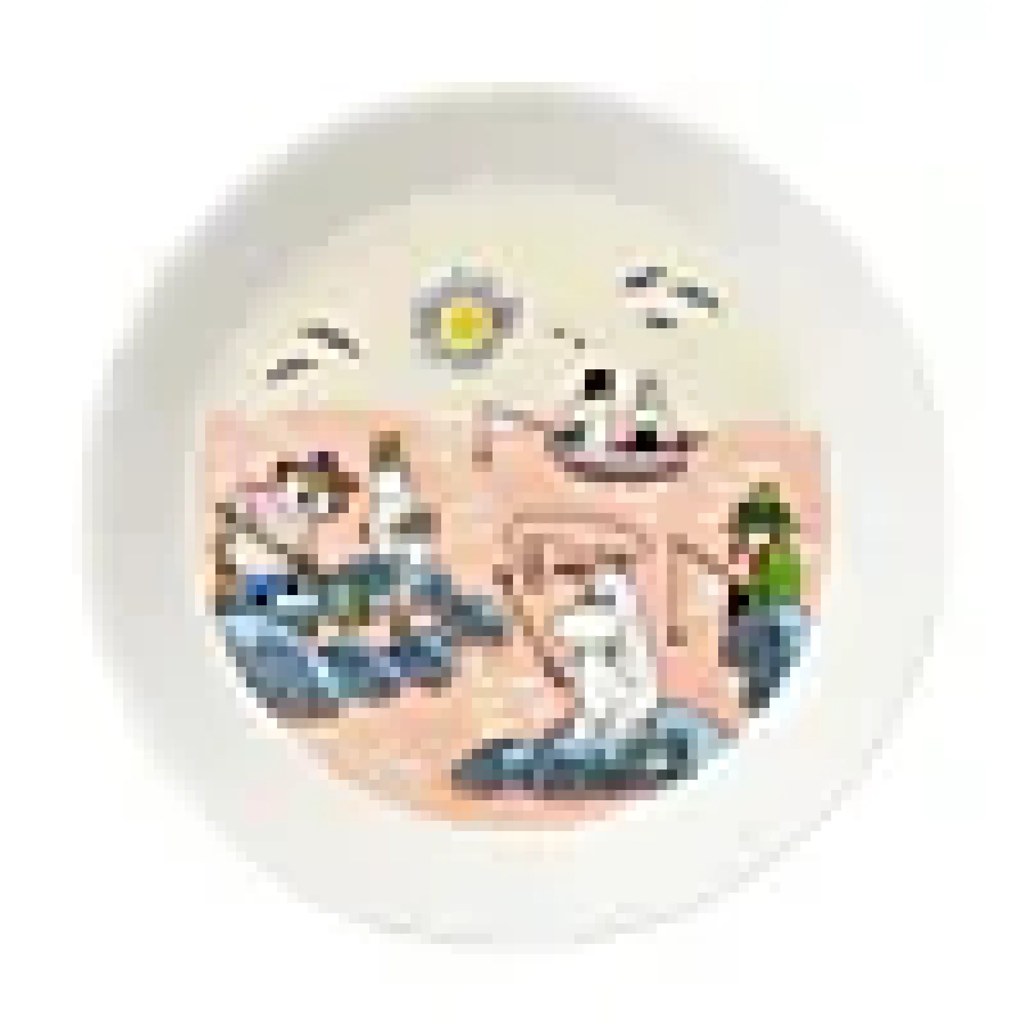 Asjett mummi 19cm fiske-Moomin Arabia