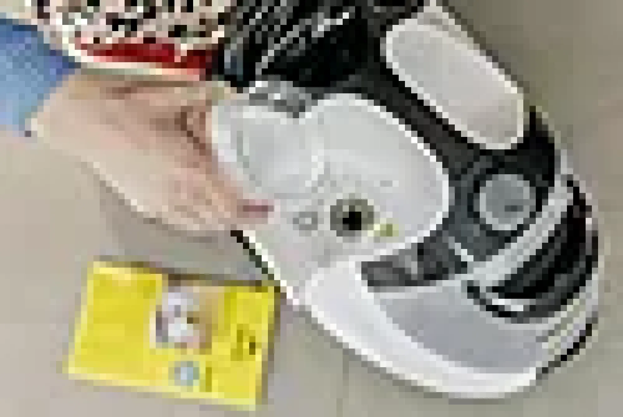 Avkalkingspulver RM 511 til dampvasker-Kärcher Outlet