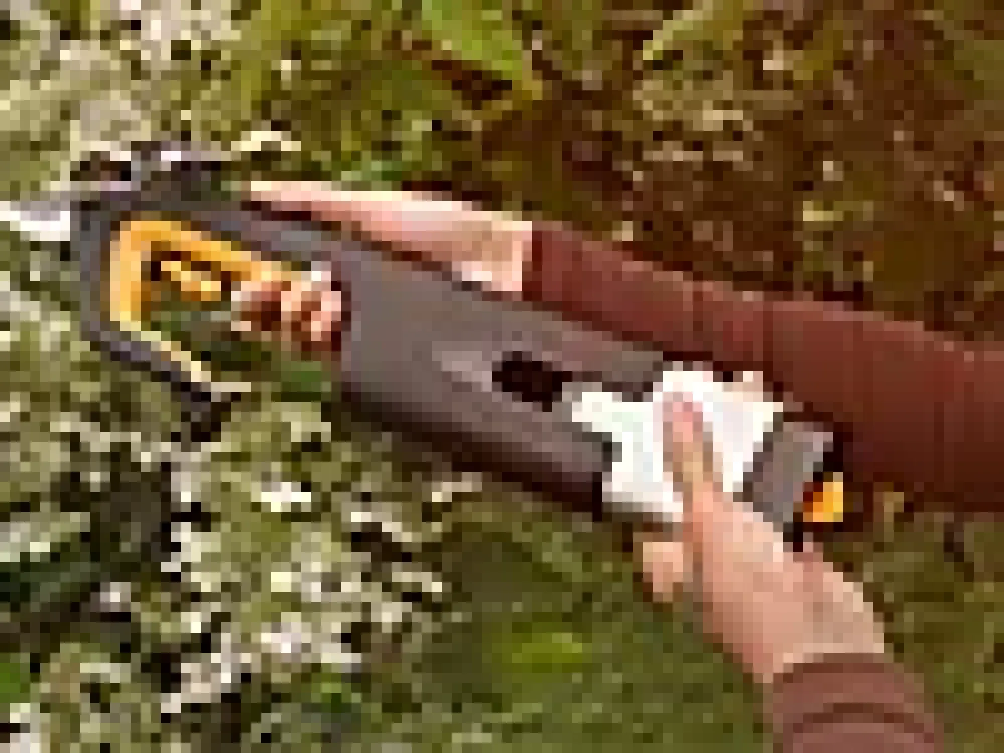 Batteri til e-serien 12v-4Ah-Fiskars Online