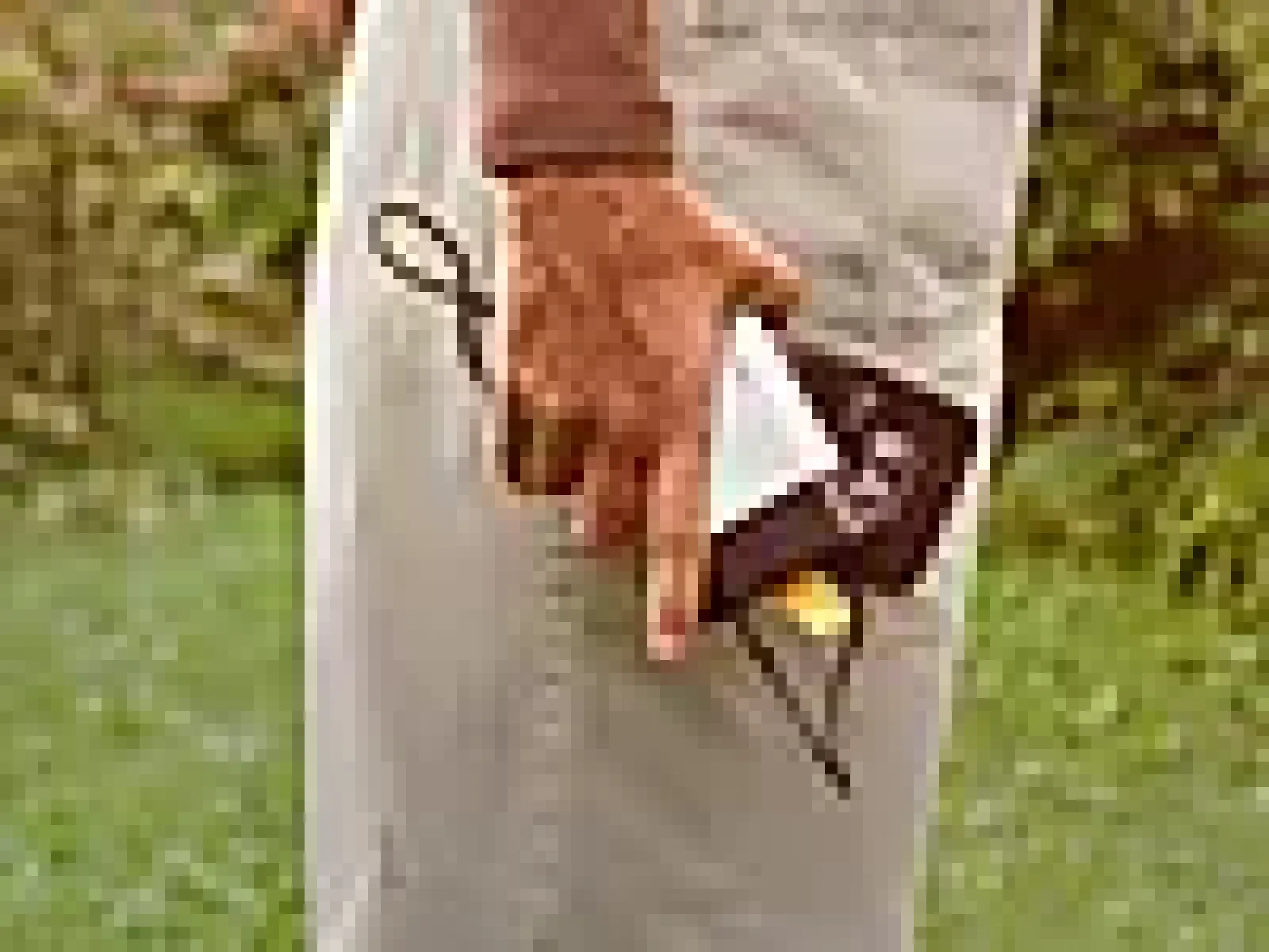 Batteri til e-serien 12v-4Ah-Fiskars Online