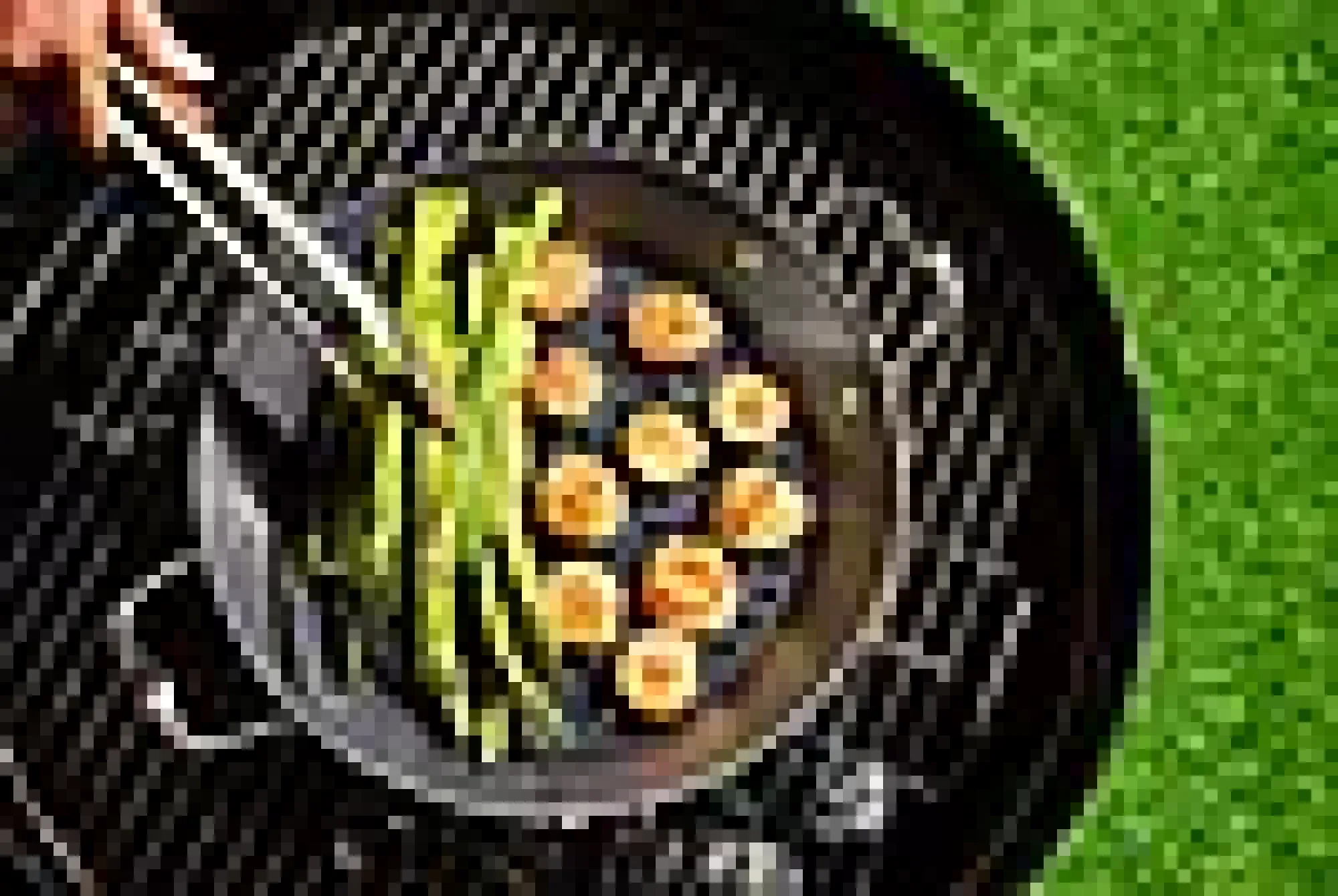 BBQ-panne til grill 30cm hybrid-Hexclad Discount