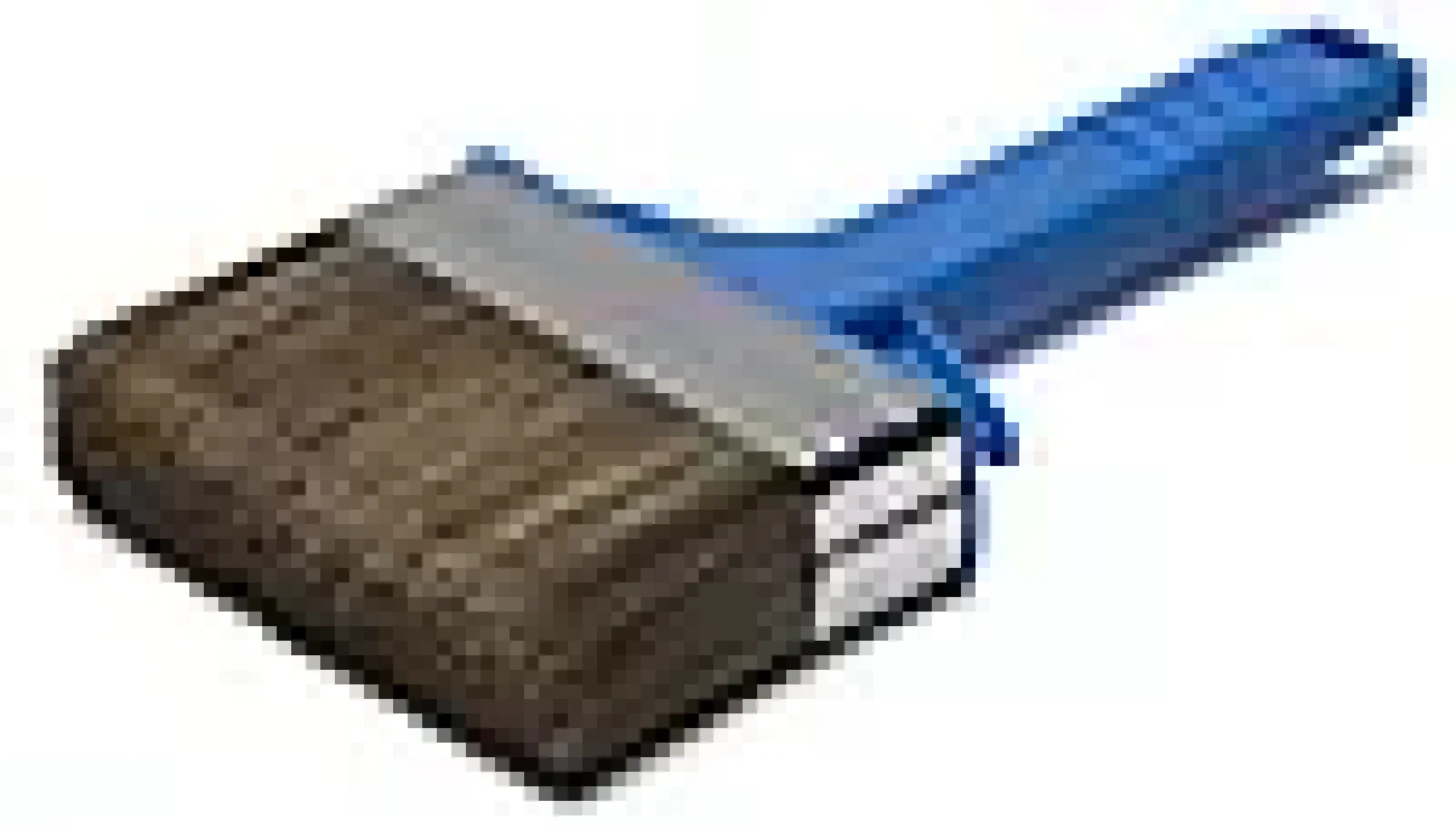 Beispensel 120mm-Go Sale