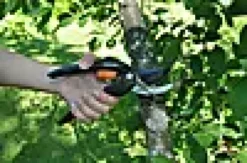 Beskjæringssaks sideskjær SS-Fiskars Outlet