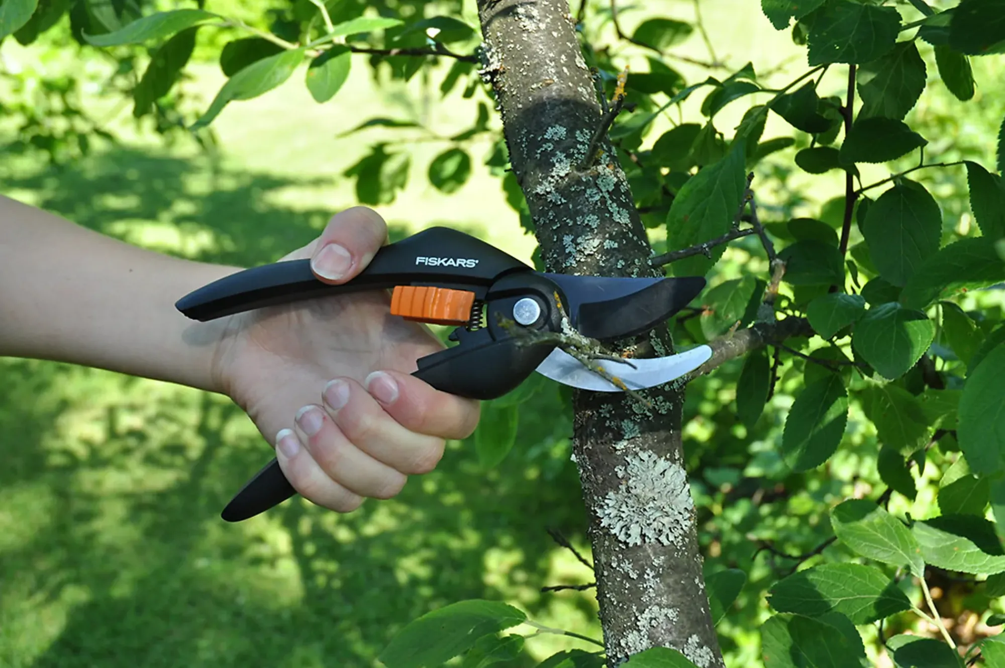 Beskjæringssaks sideskjær SS-Fiskars Outlet