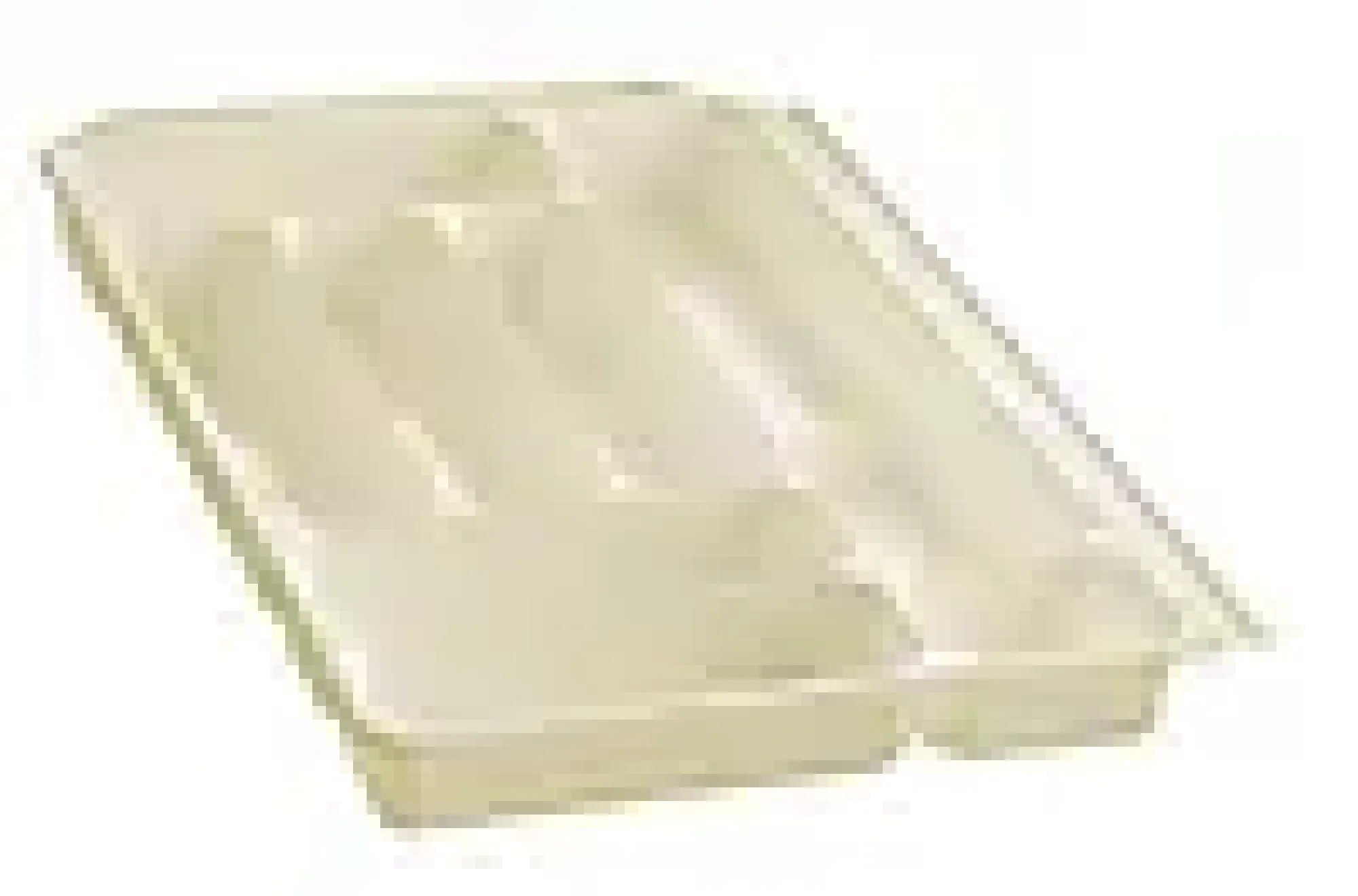 Bestikkasse 51x34x5-Orthex Hot