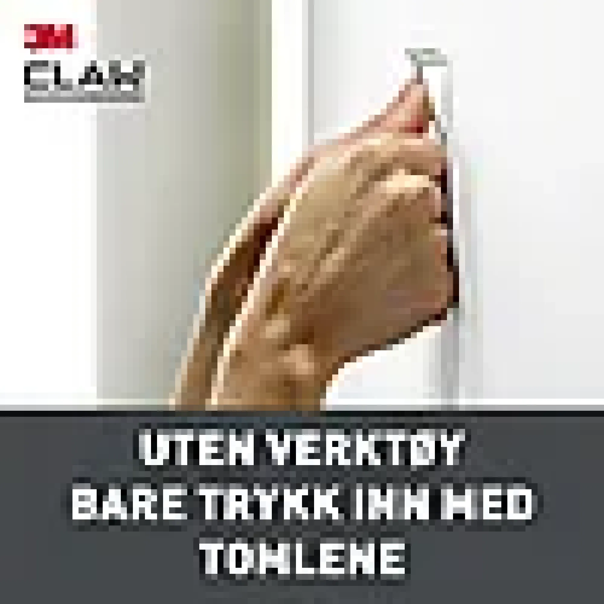 Bildeoppheng til gipsvegg 7kg 2stk-3m New