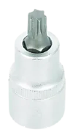 Bitspipe 1/2" TX45-Ironside New