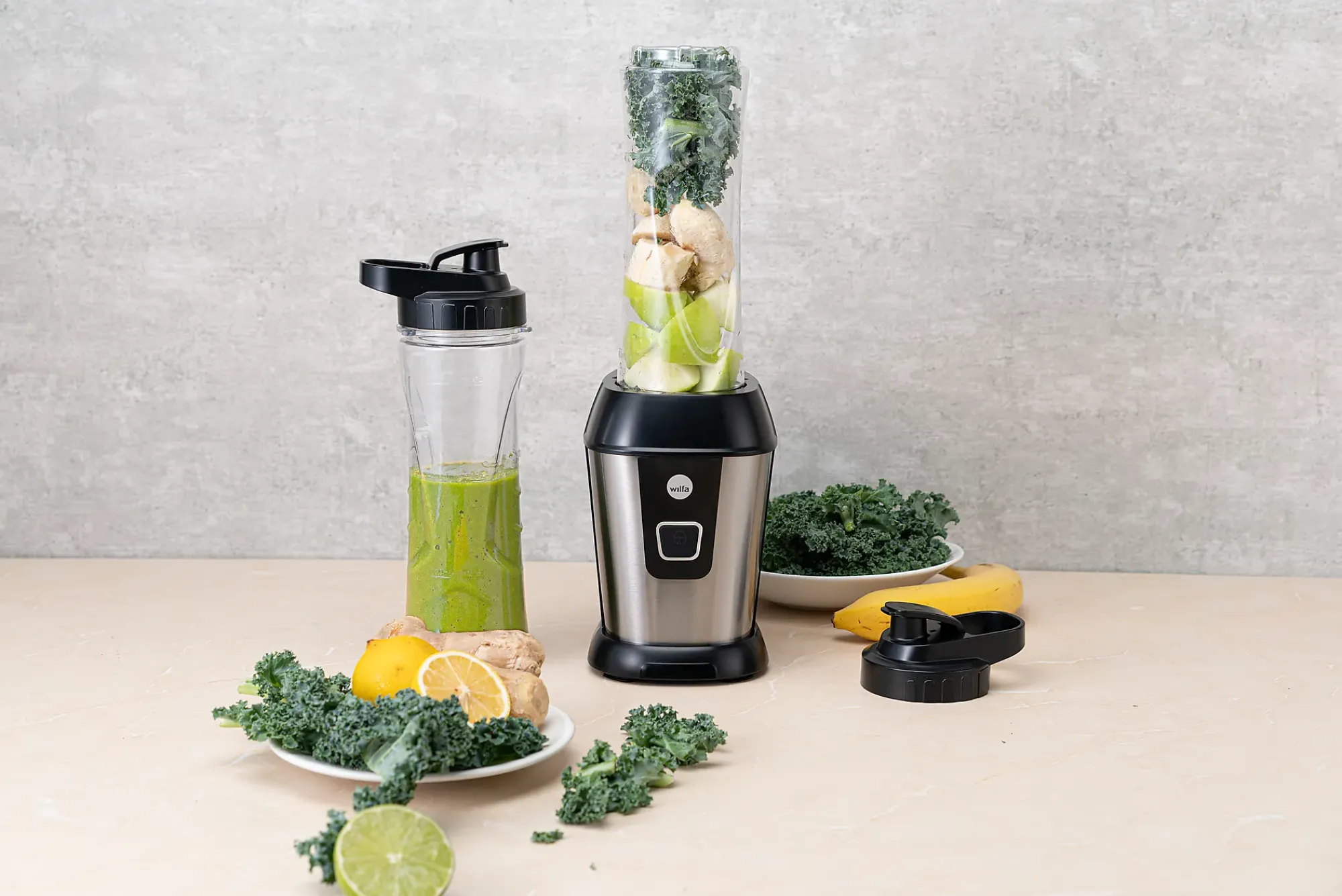 Blender BL5002GO-Wilfa Online