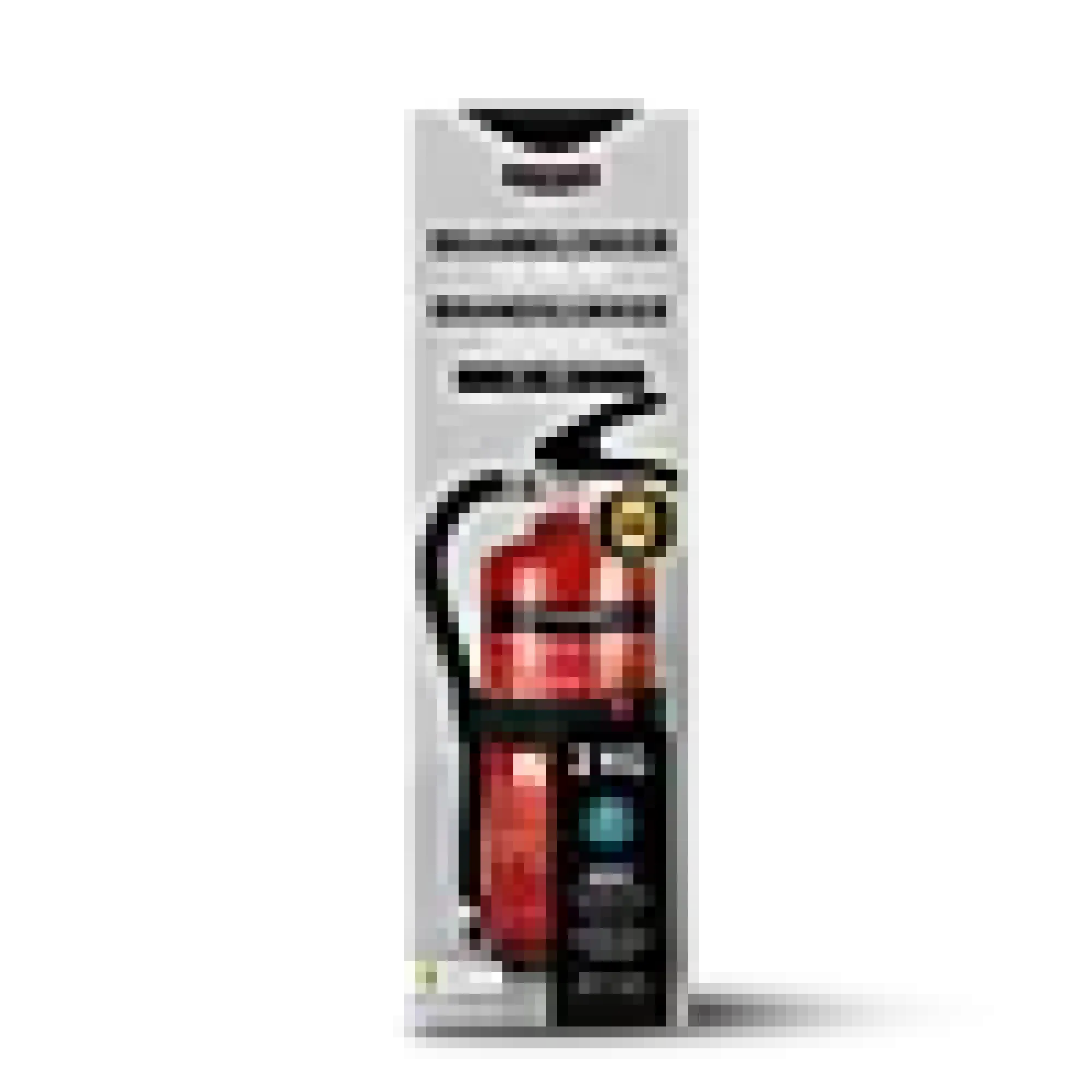 Brannslukker 2kg Pulver-Housegard Outlet