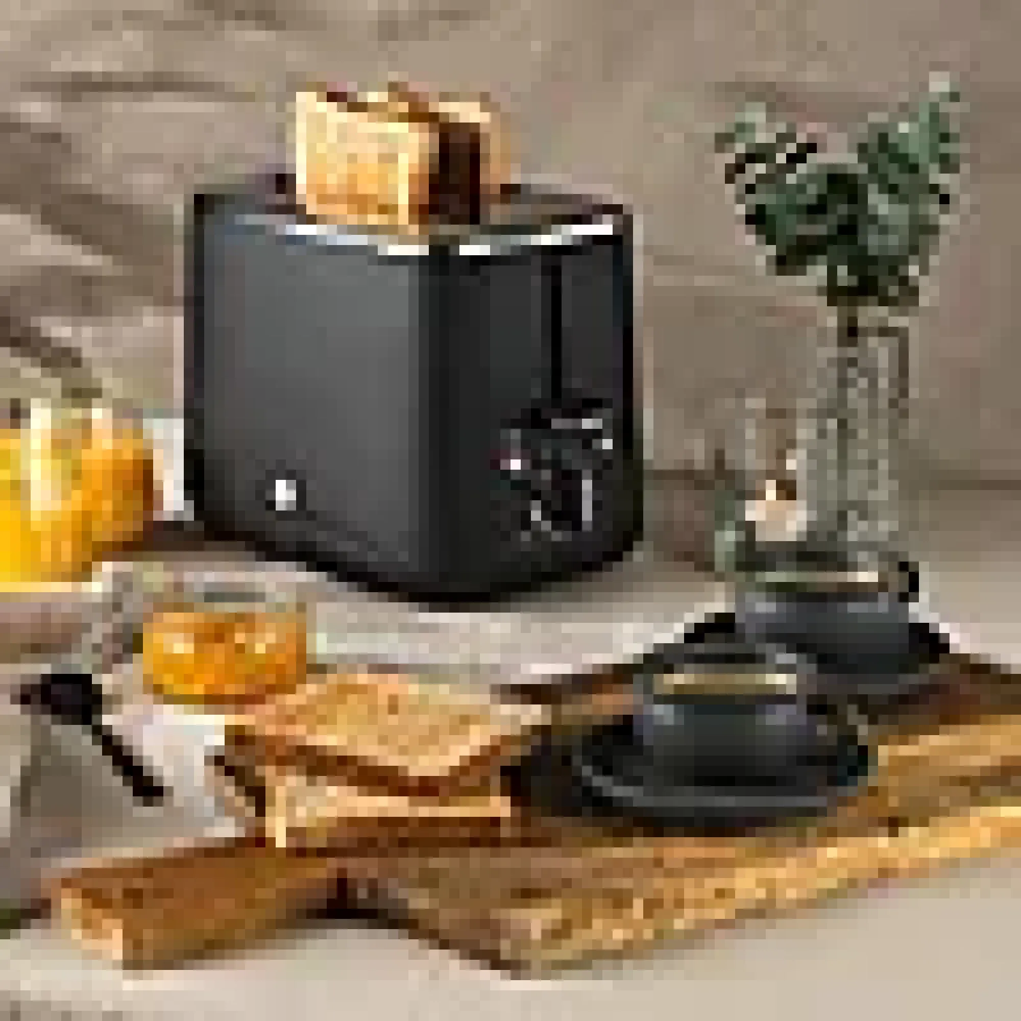 Brødrister 2 skiver 1000W-Wilfa Discount