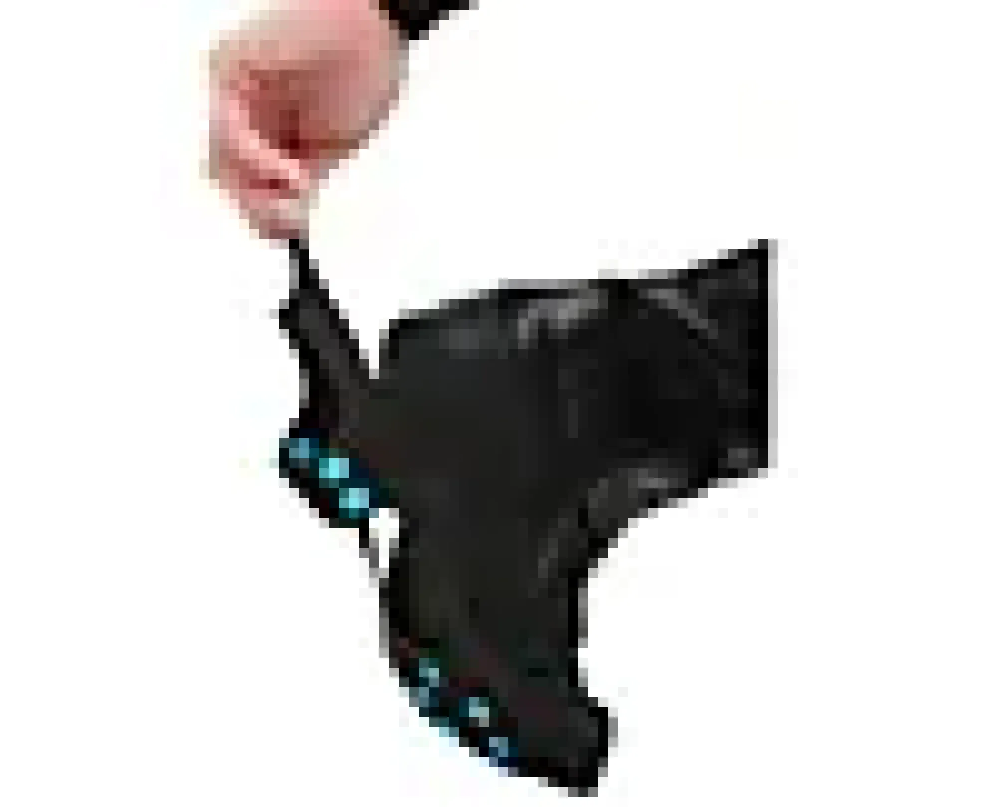 Brodder Walking Large Sort 41-45-Nordic grip