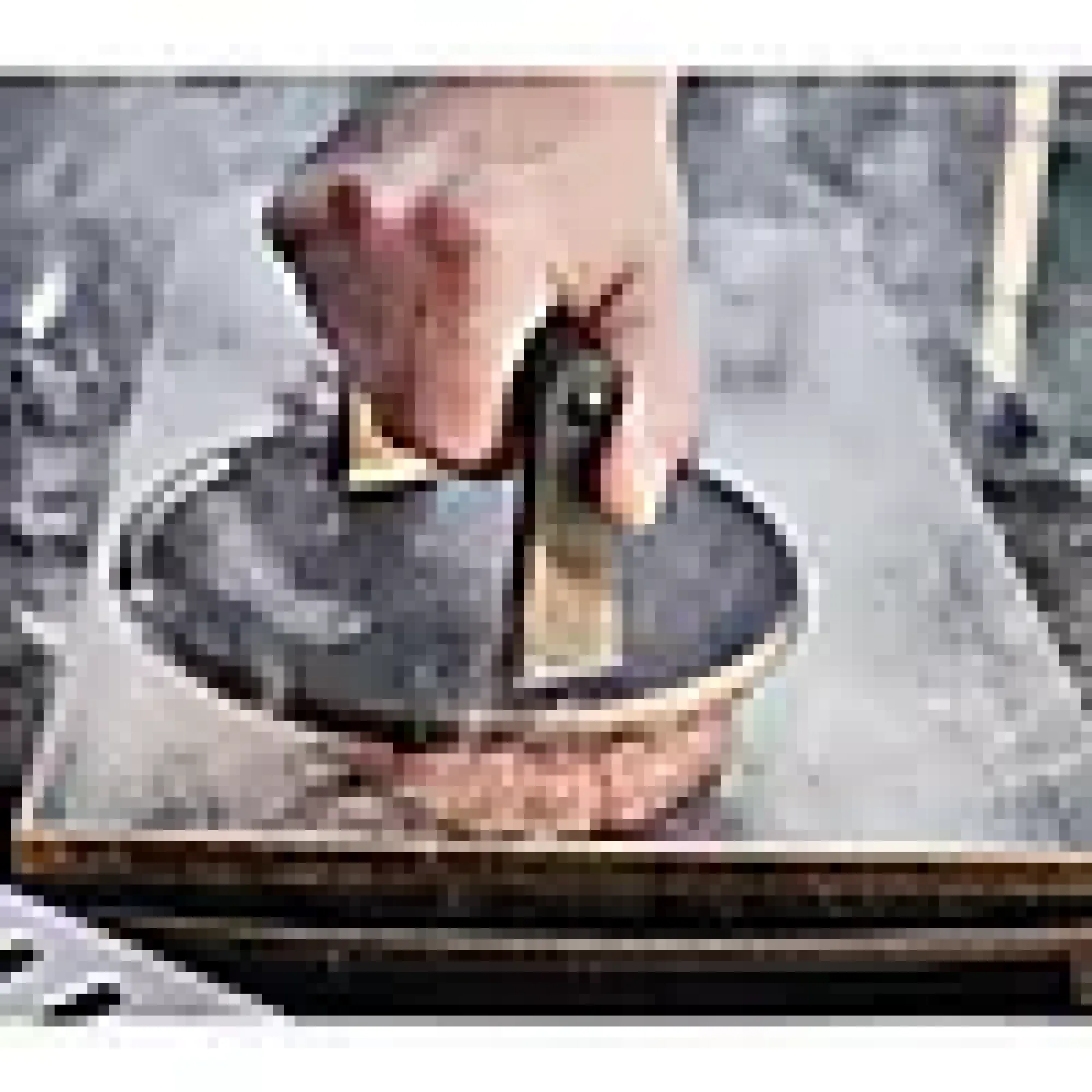 Burgerpresse-Enders Hot