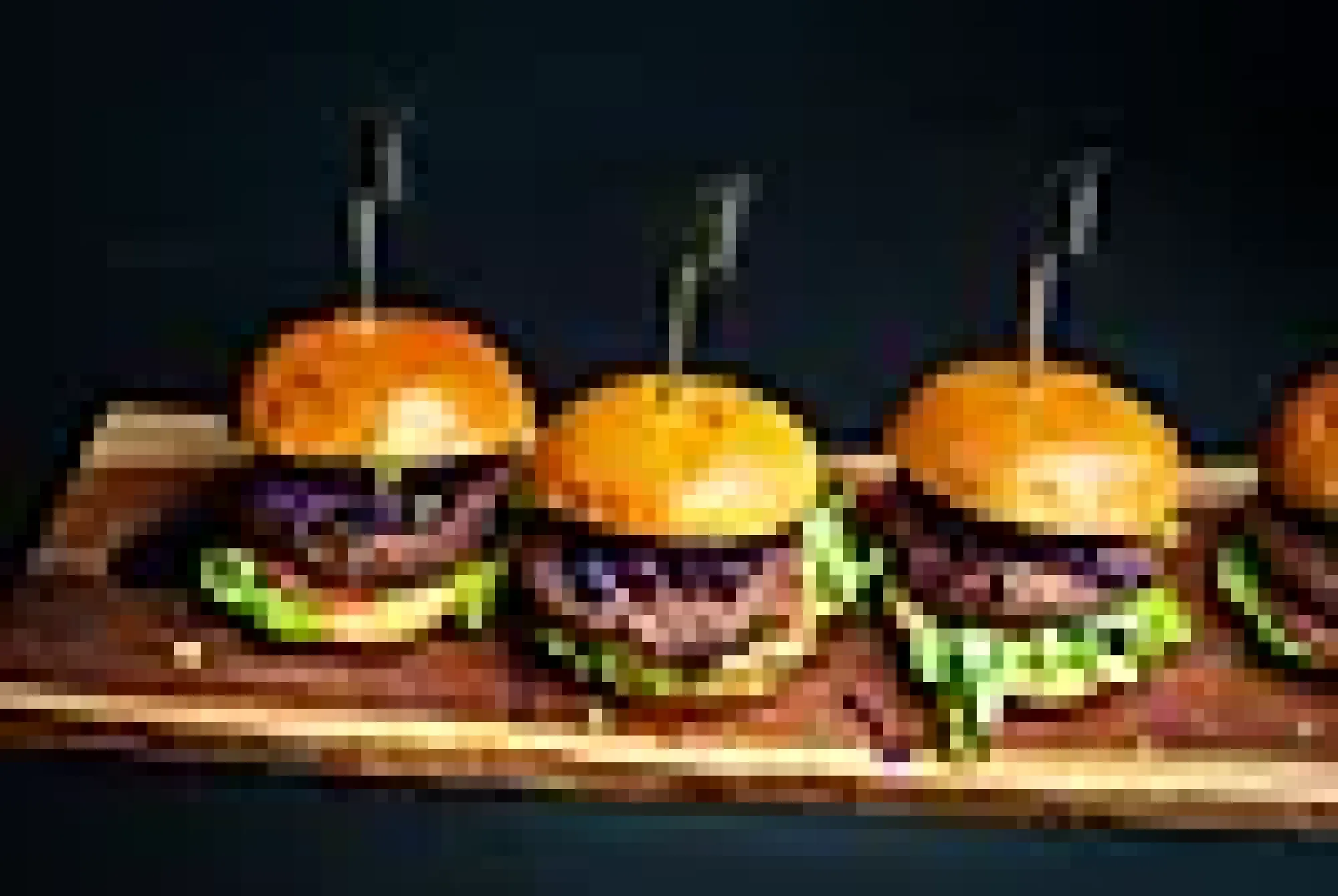 Burgerpresse og 4 grilspyd sett-Enders Clearance