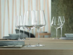 Burgunderglass 960ml 2stk-Spiegelau Hot