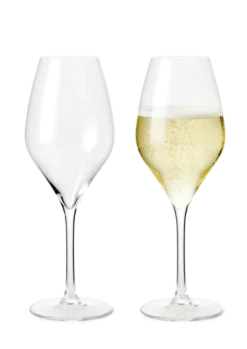 Champagneglass Premium 37cl 2stk-Rosendahl Best