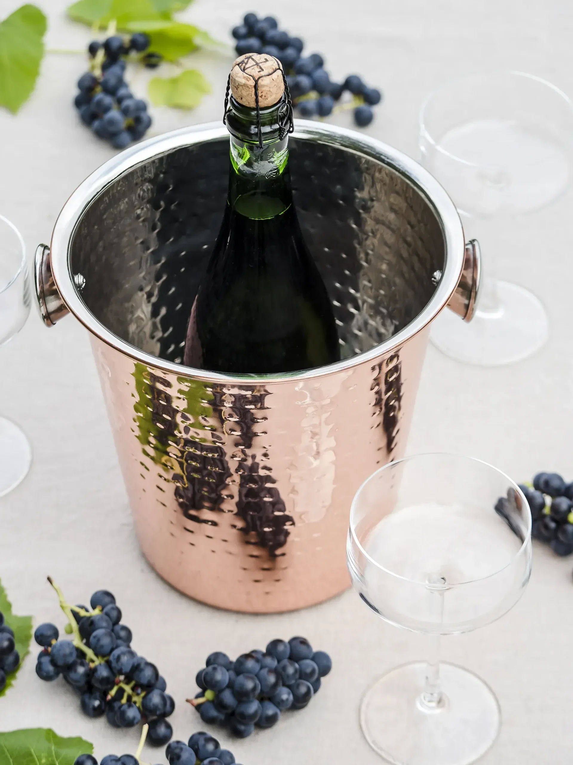 CHAMPAGNEKJØLER /STÅL 22CM-Marie sohl Discount