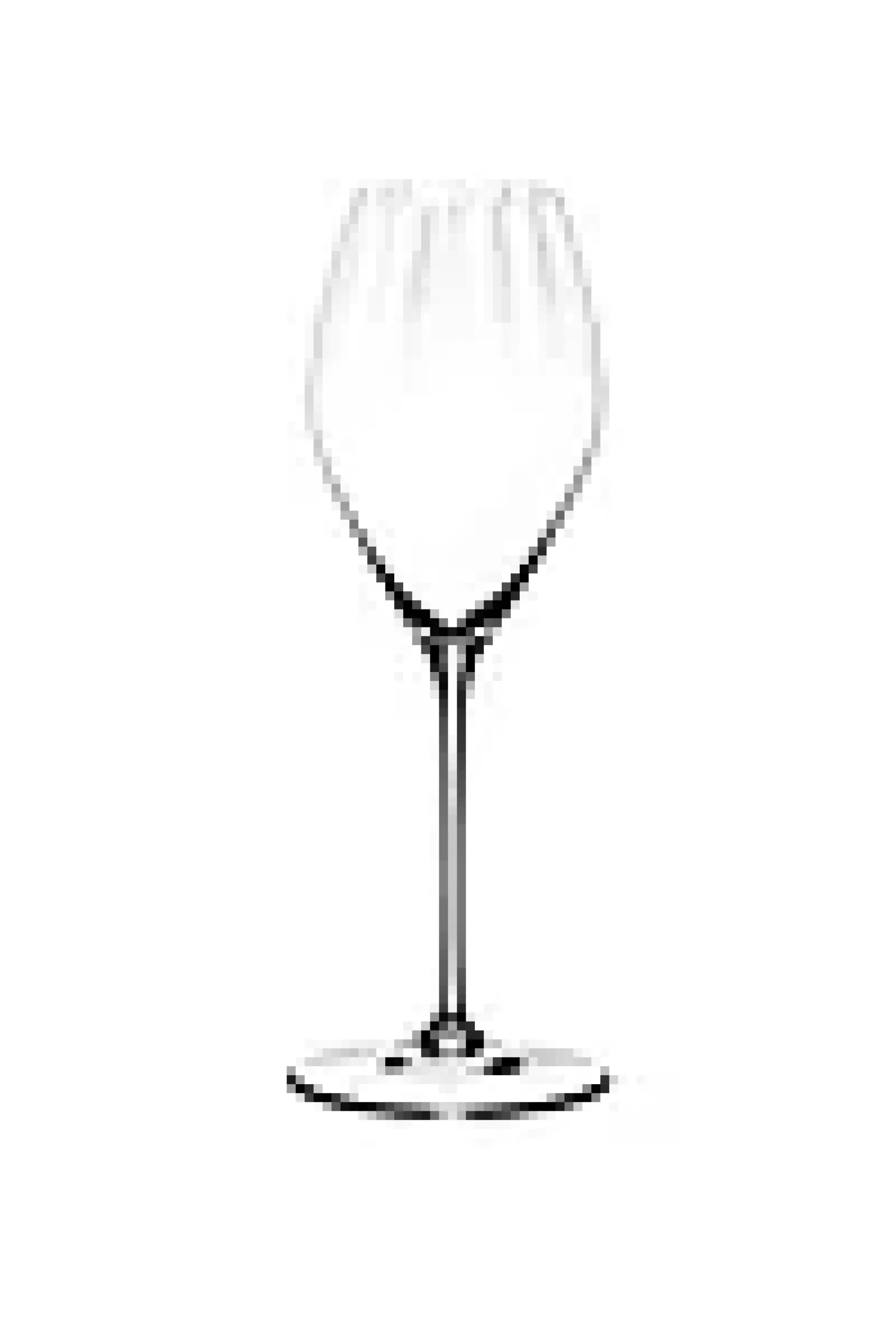 Champagne Performance 37,5cl 2stk-Riedel Discount
