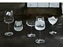 Champagneskål Optica 30cl 4stk-Luigi bormioli Clearance