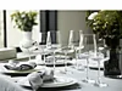 Champagneskål Zero 26cl 4stk-Lyngby glas Discount