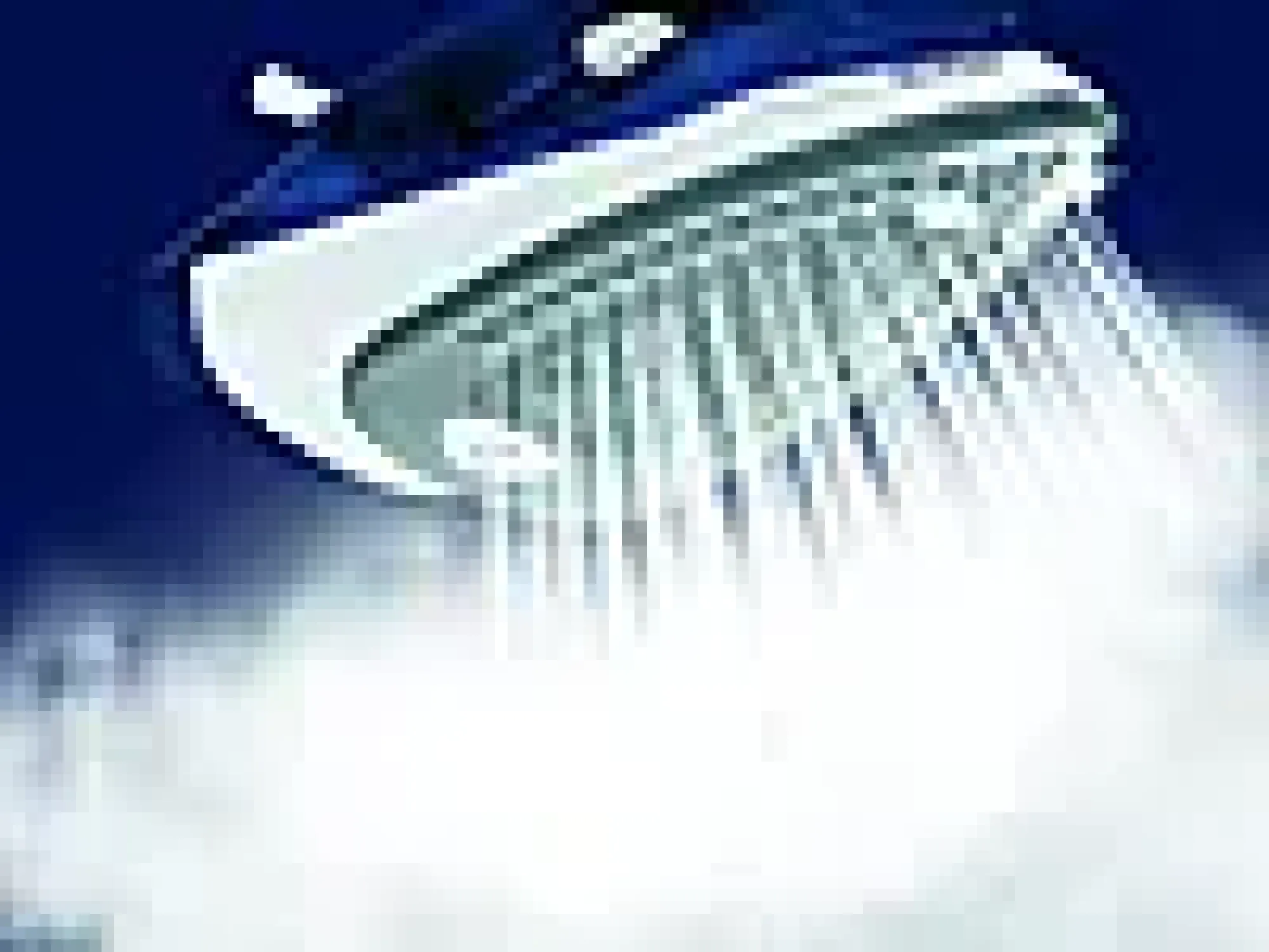 Dampstrykejern Express-Tefal Discount