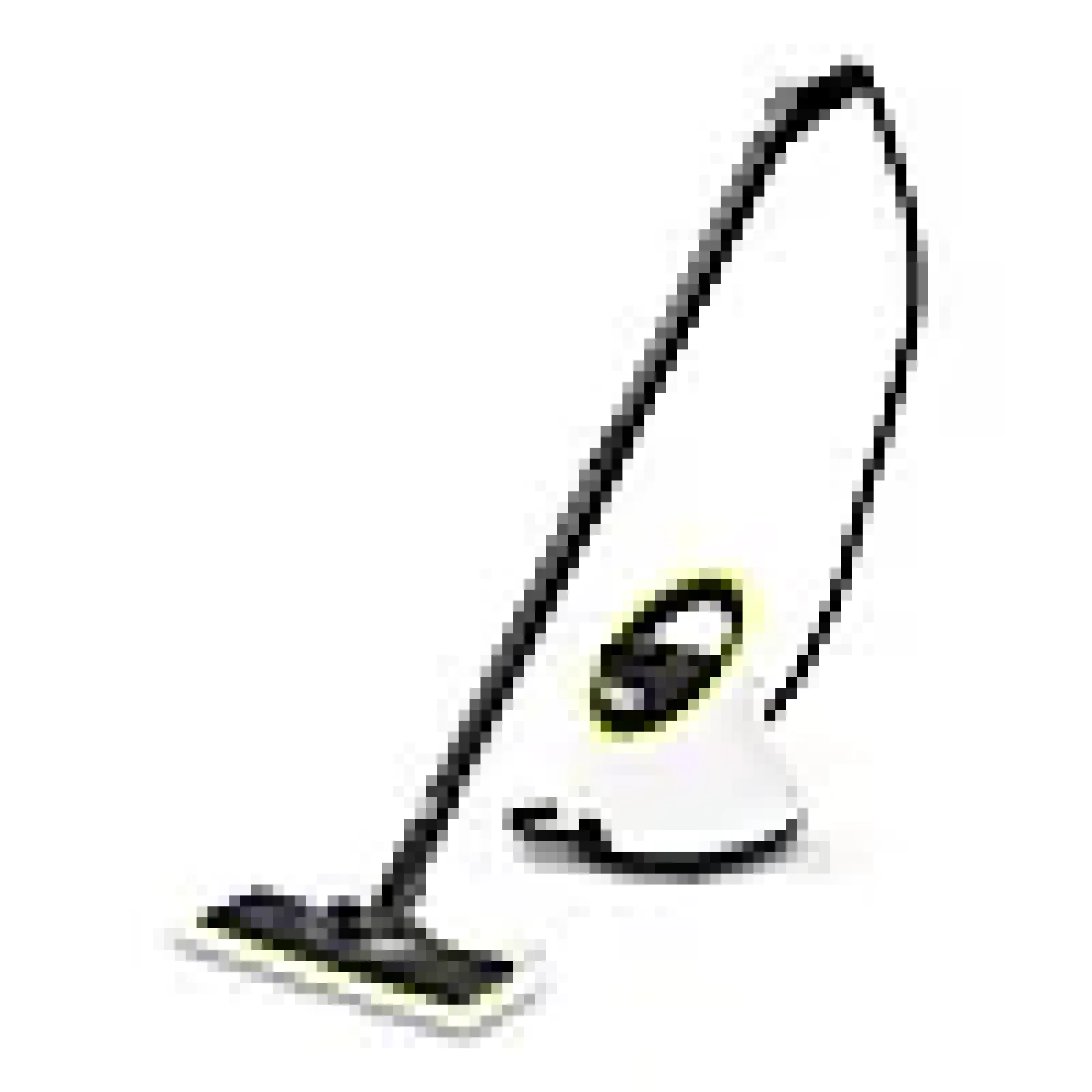 Dampvasker SC 2 Deluxe-Kärcher Best