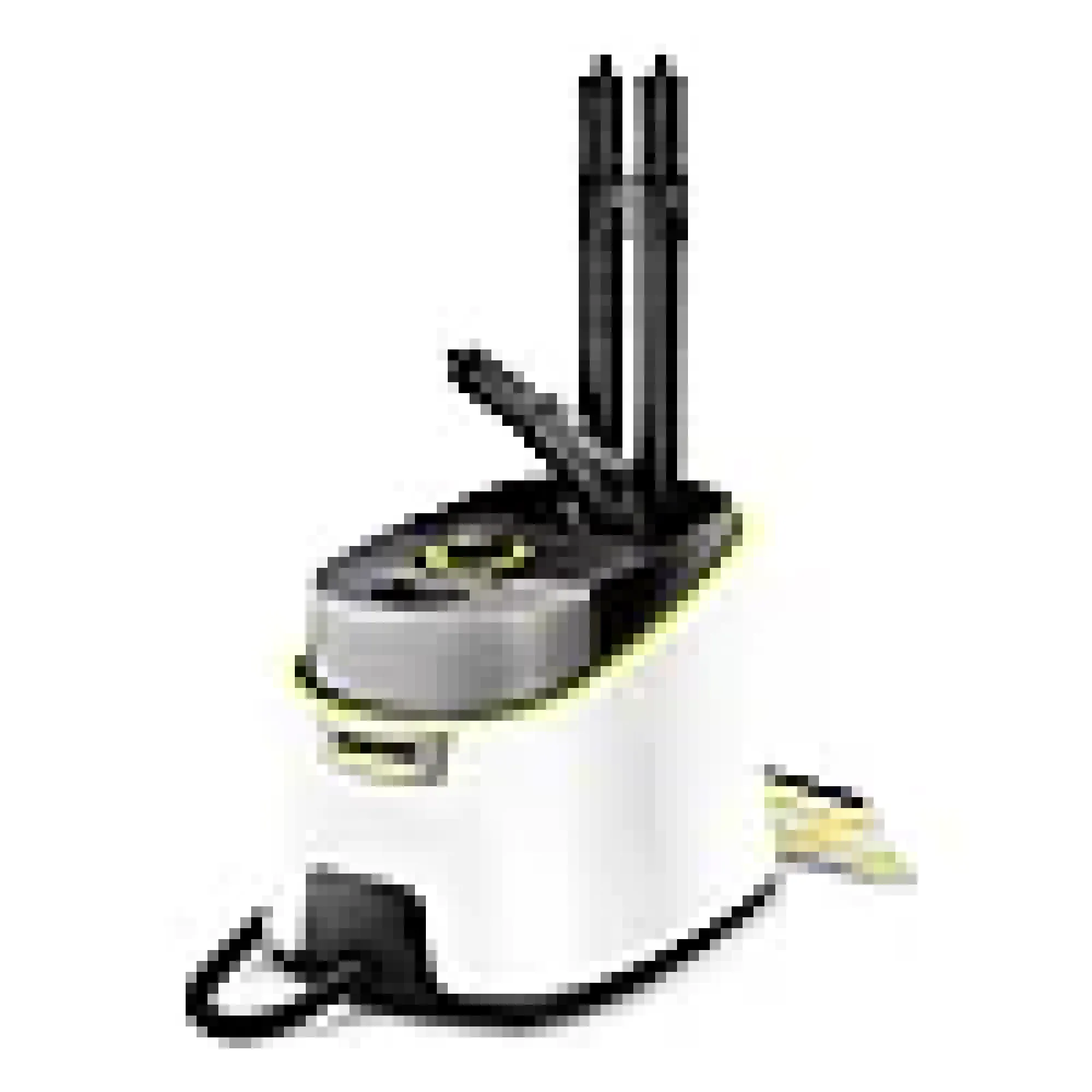 Dampvasker SC 4 Deluxe-Kärcher Discount