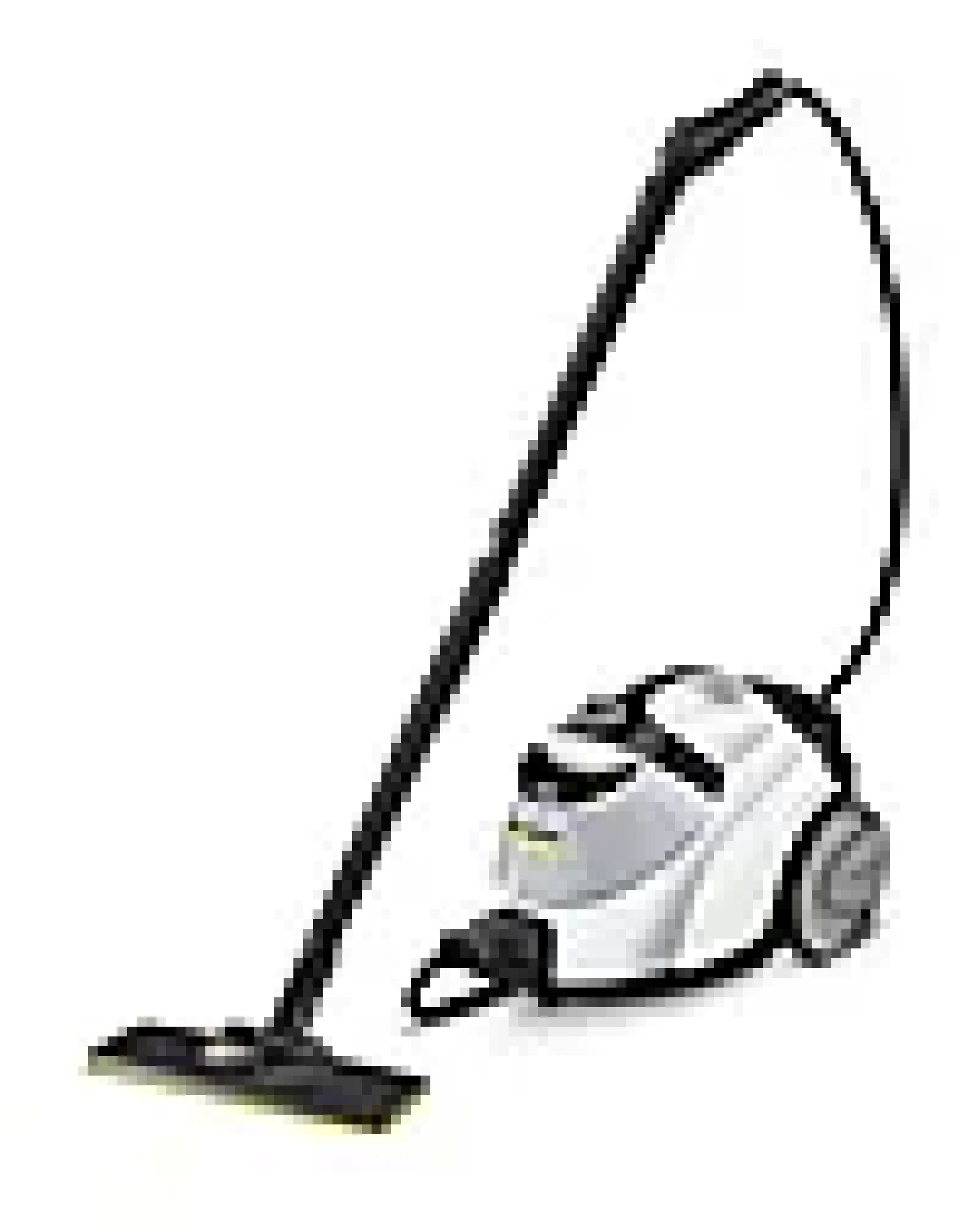 Dampvasker SC 5 Easyfix Iron-Kärcher