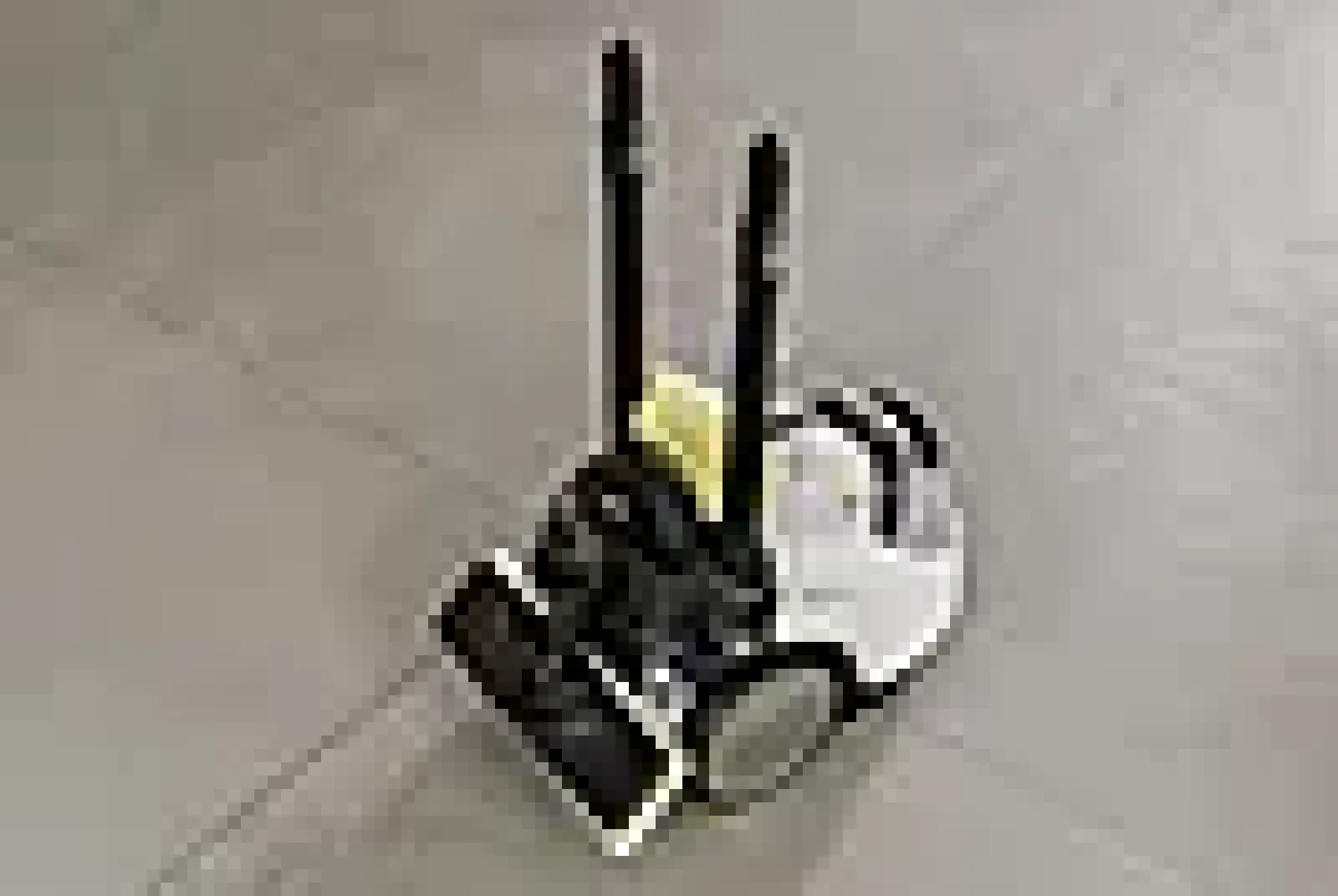 Dampvasker SC 5 Easyfix Iron-Kärcher