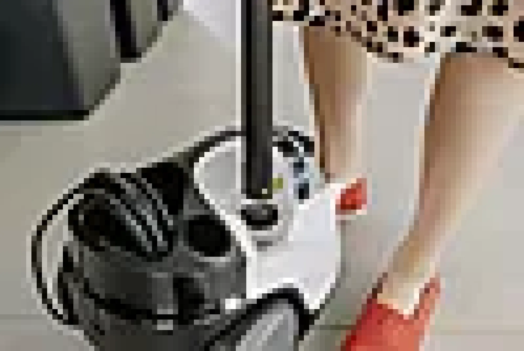 Dampvasker SC 5 Easyfix Iron-Kärcher