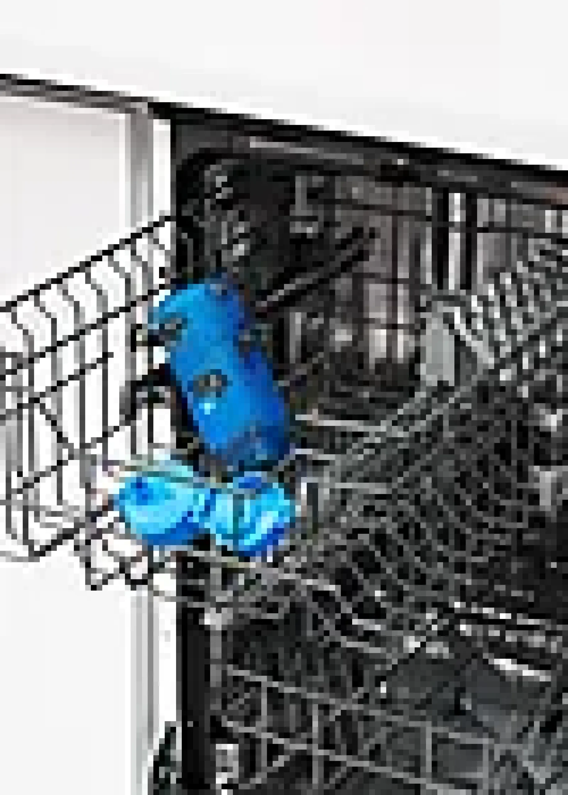 Drikkeflaske 0,35L Katte-Ion8 Sale