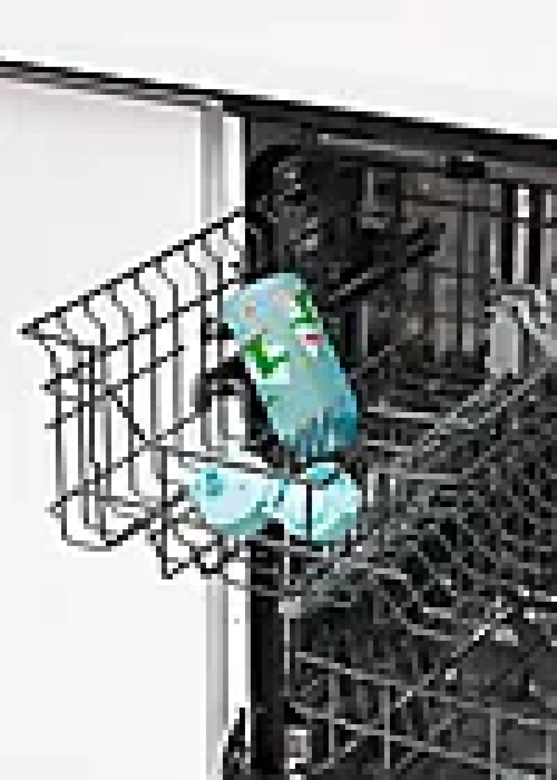 Drikkeflaske 0,35L Krokodil-Ion8 Discount