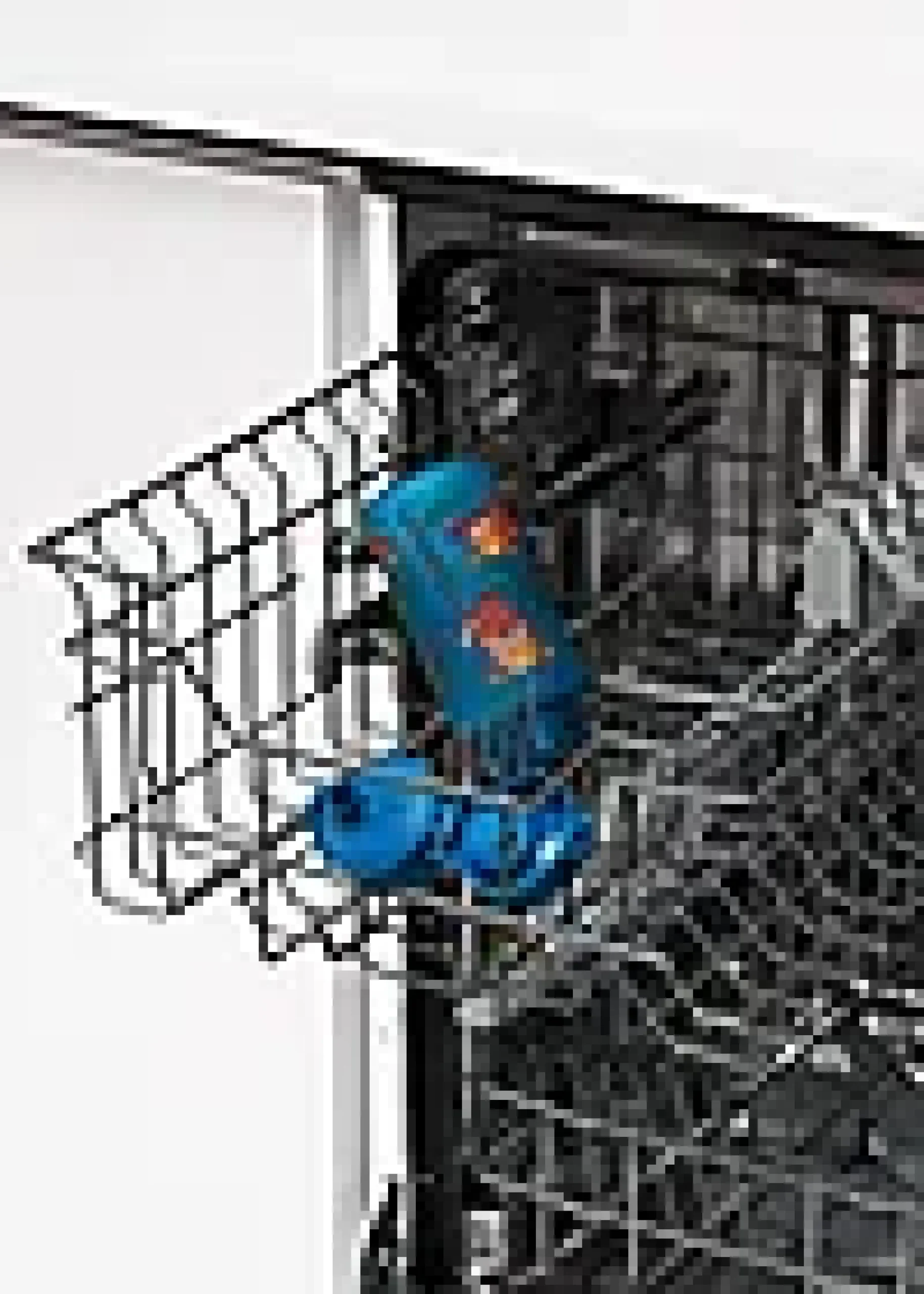 Drikkeflaske 0,35L Rød Panda-Ion8 Clearance