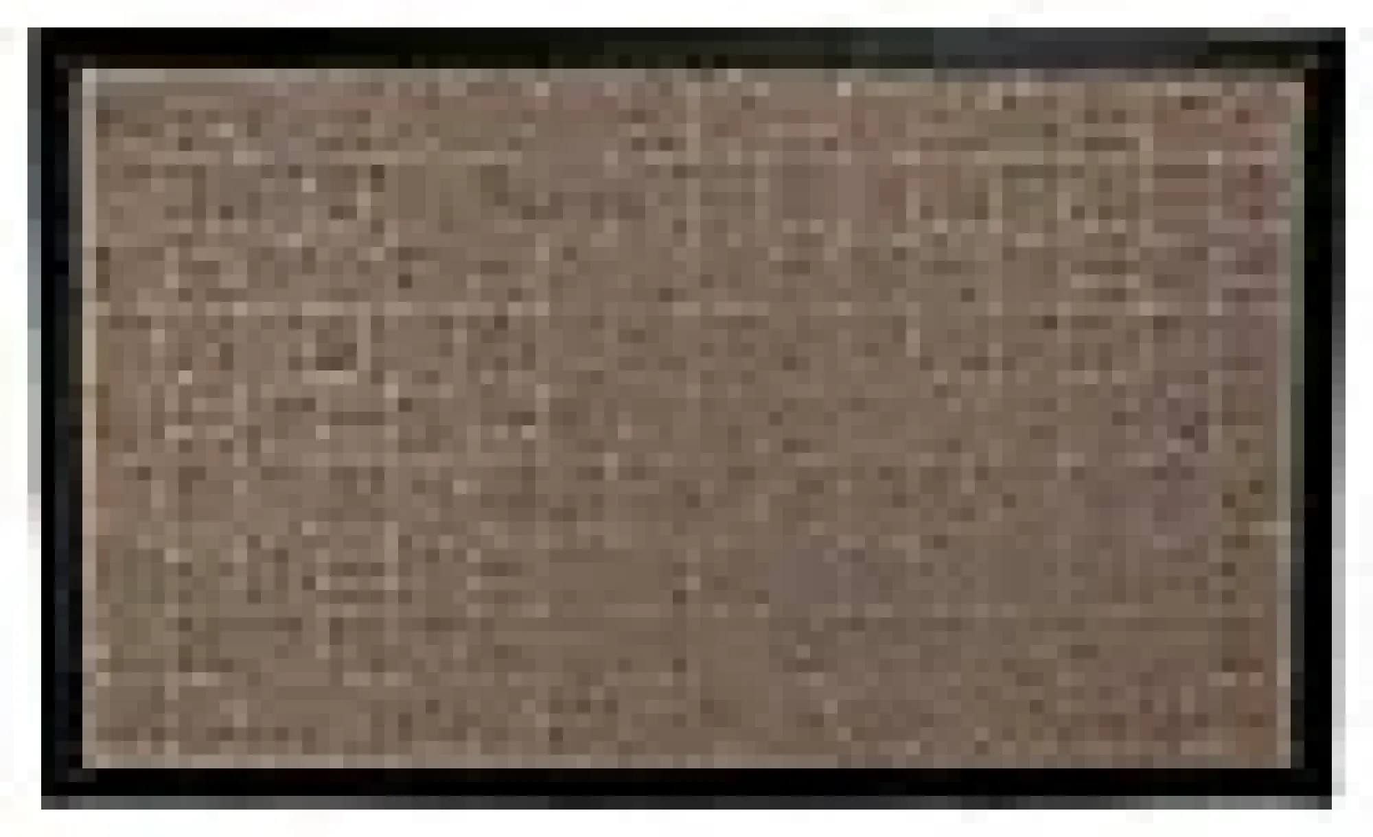 Dørmatte Robust beige 40x60cm- Best