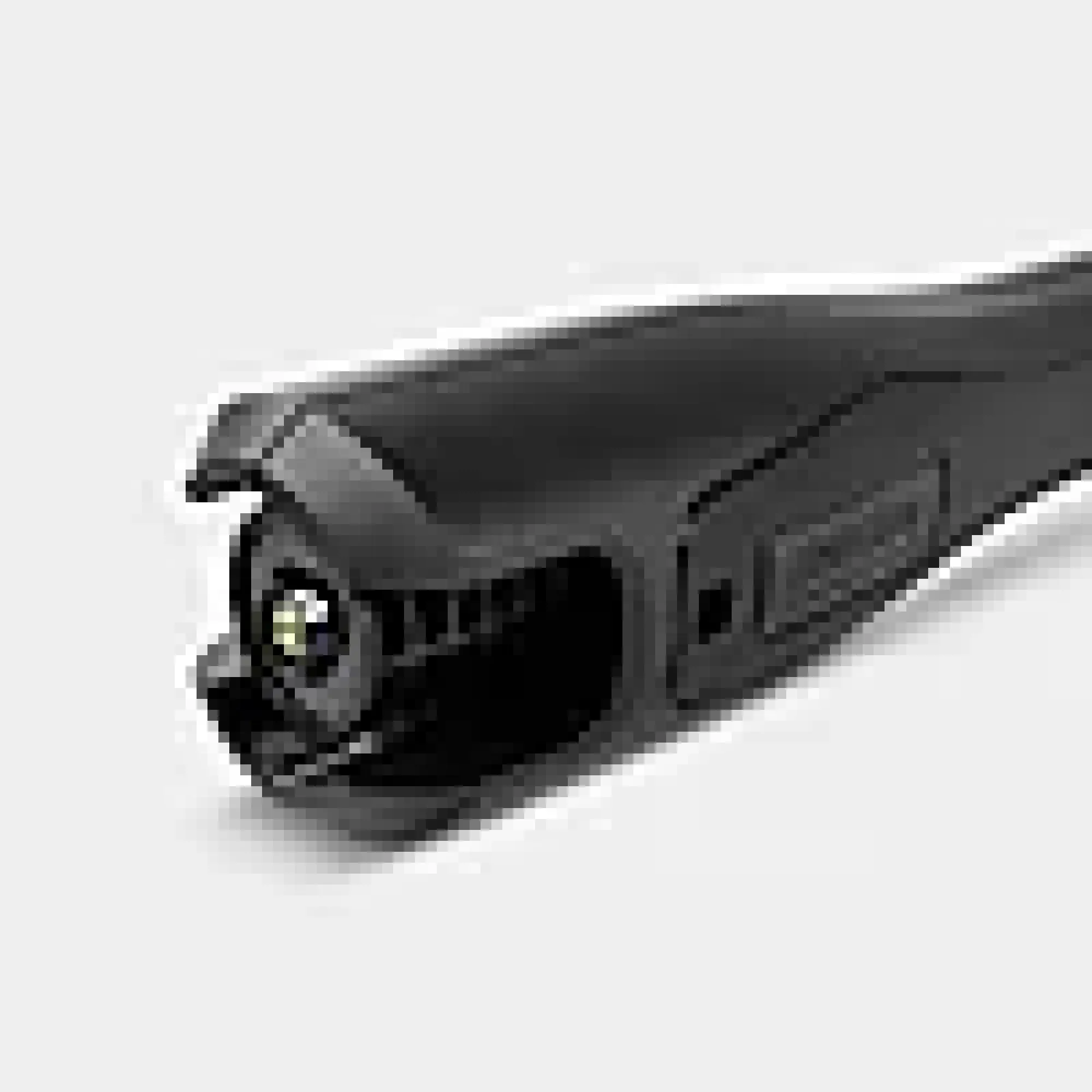 eco!Booster 180. Bred dyse (K 6 - K 7)-Kärcher Discount