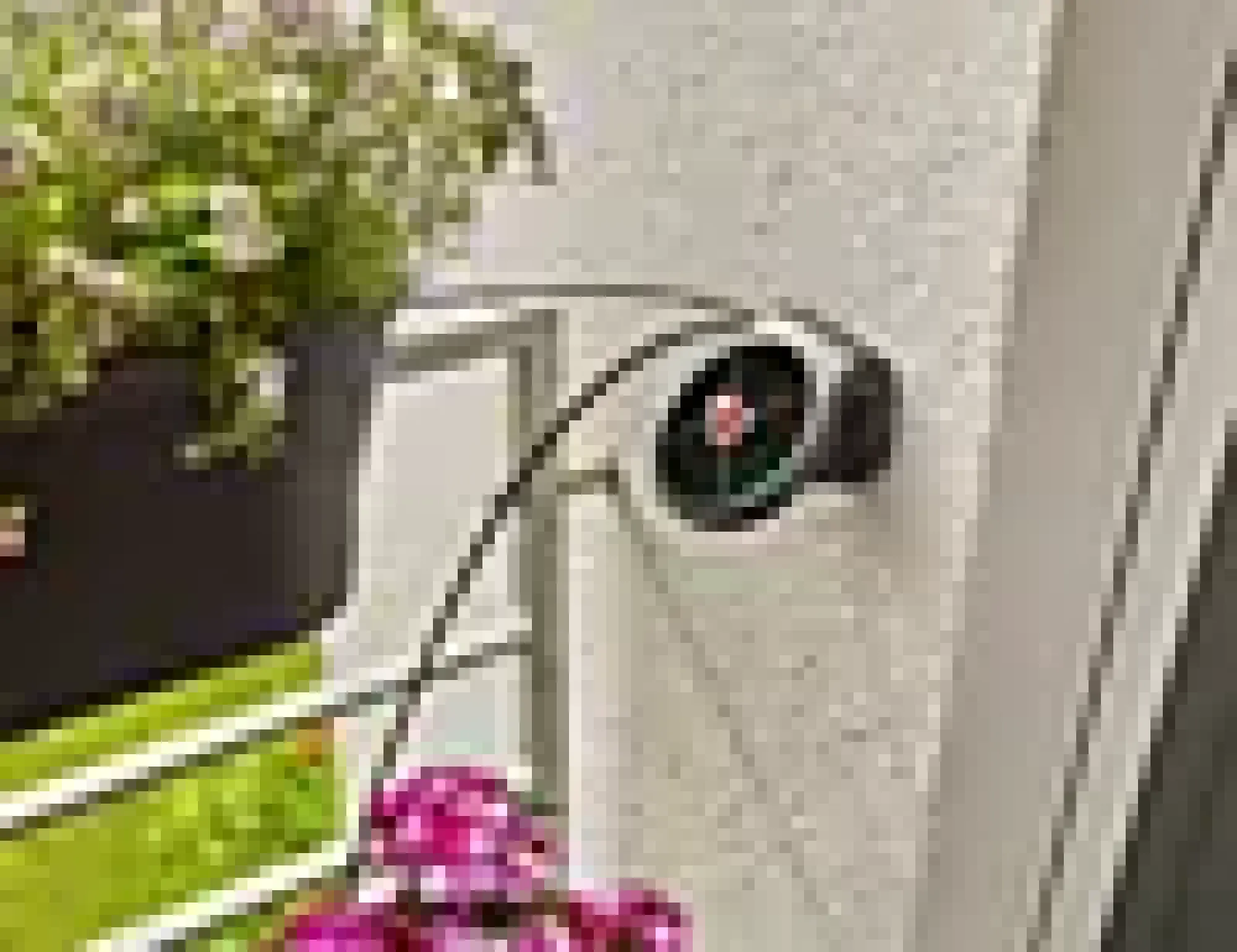 Ferie og balkongvanningssett Aquabloom-Gardena Hot