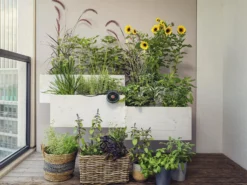 Ferie og balkongvanningssett Aquabloom-Gardena Hot