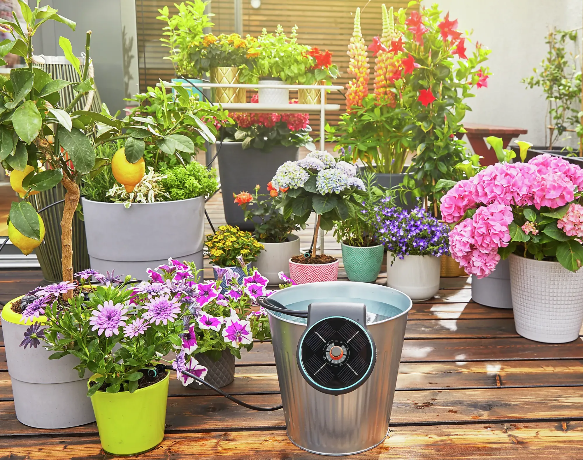 Ferie og balkongvanningssett Aquabloom-Gardena Hot