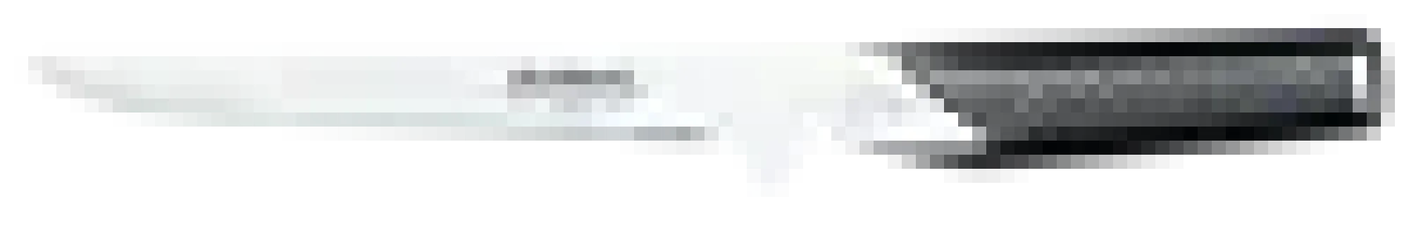 Filetkniv G-21 16cm-Global Best