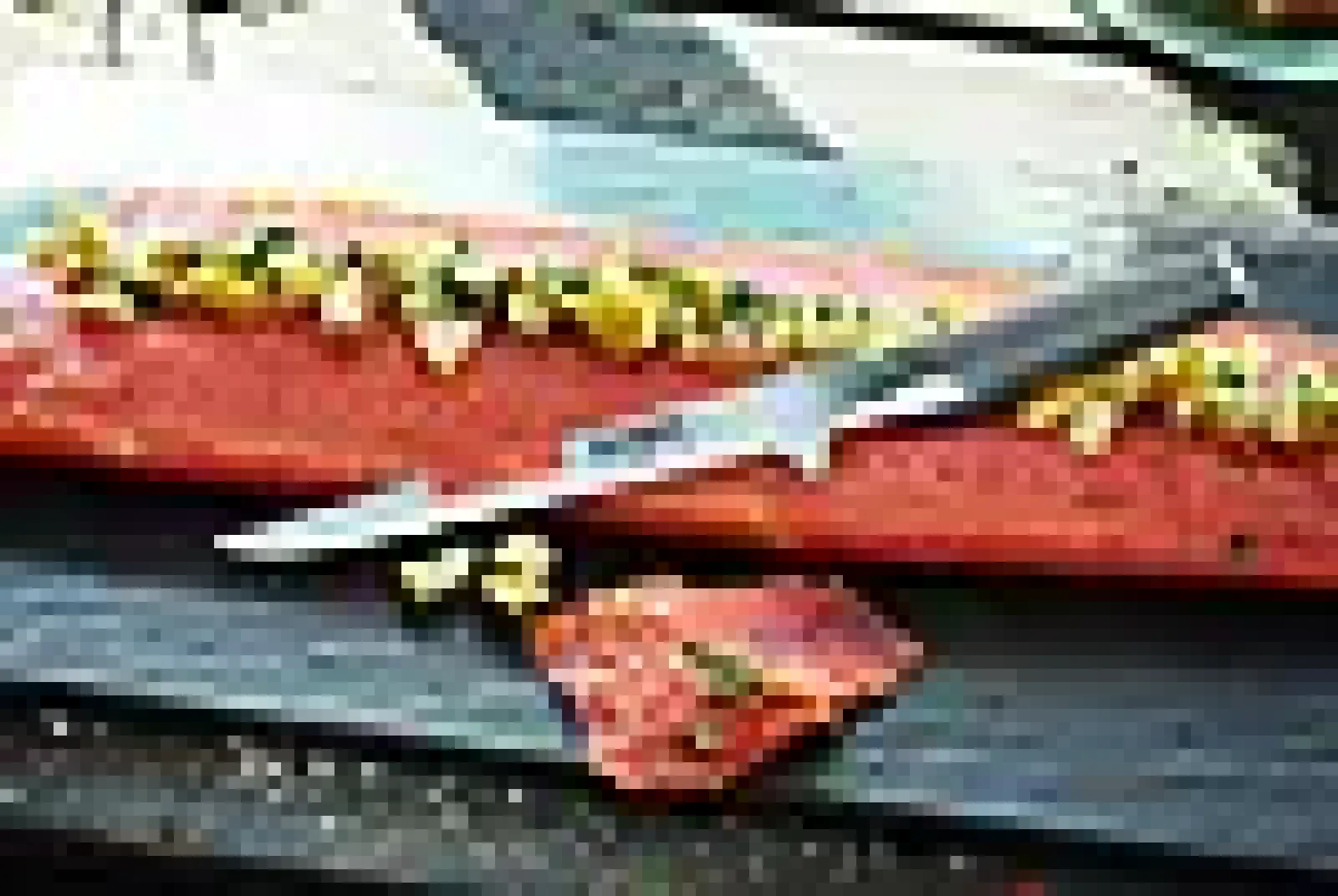 Filetkniv G-21 16cm-Global Best