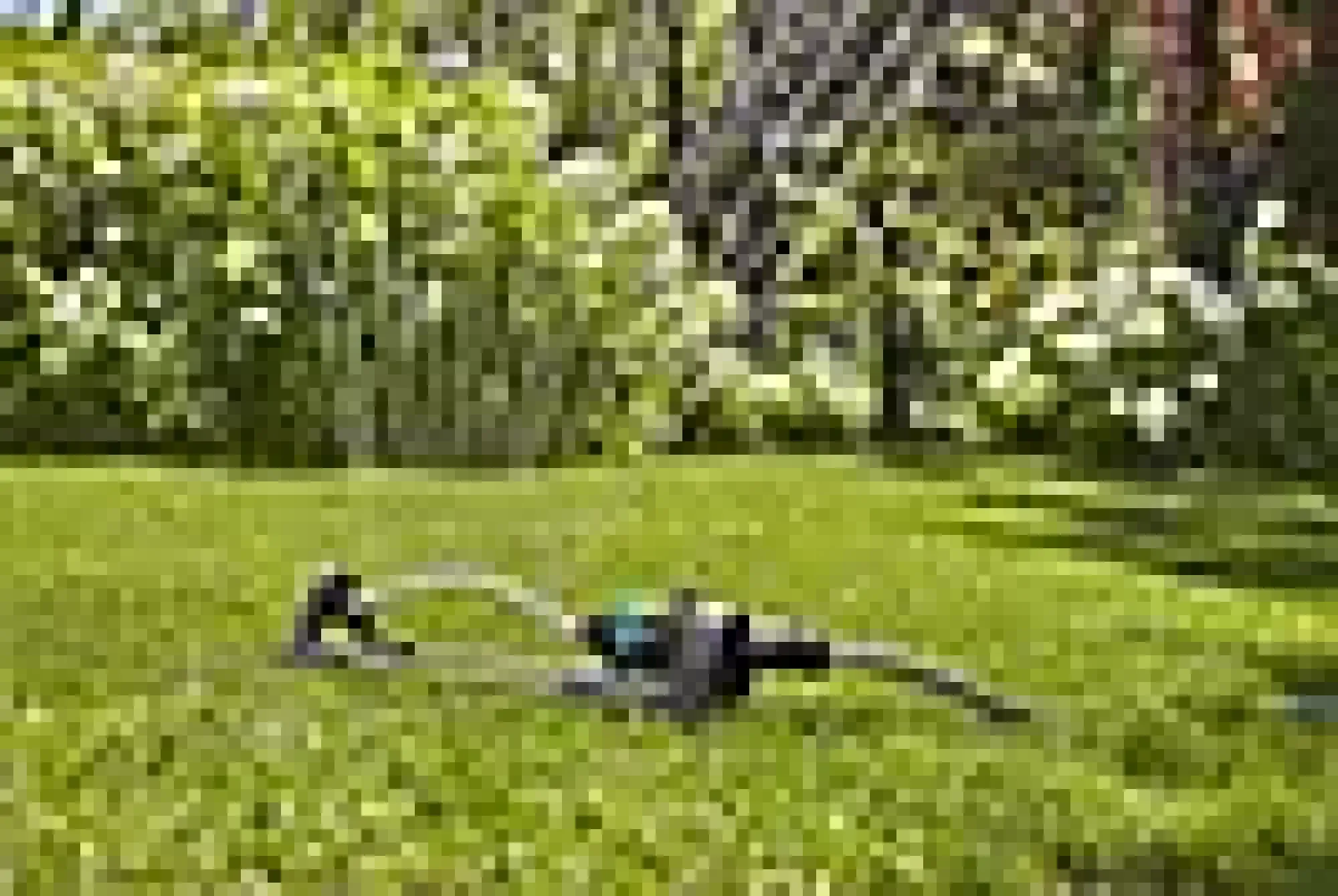 Firkantspreder 90-220m2 uv-og frostsikker-Gardena Discount
