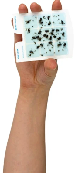 Fluefelle refill limkort 6stk-Dynatrap Clearance