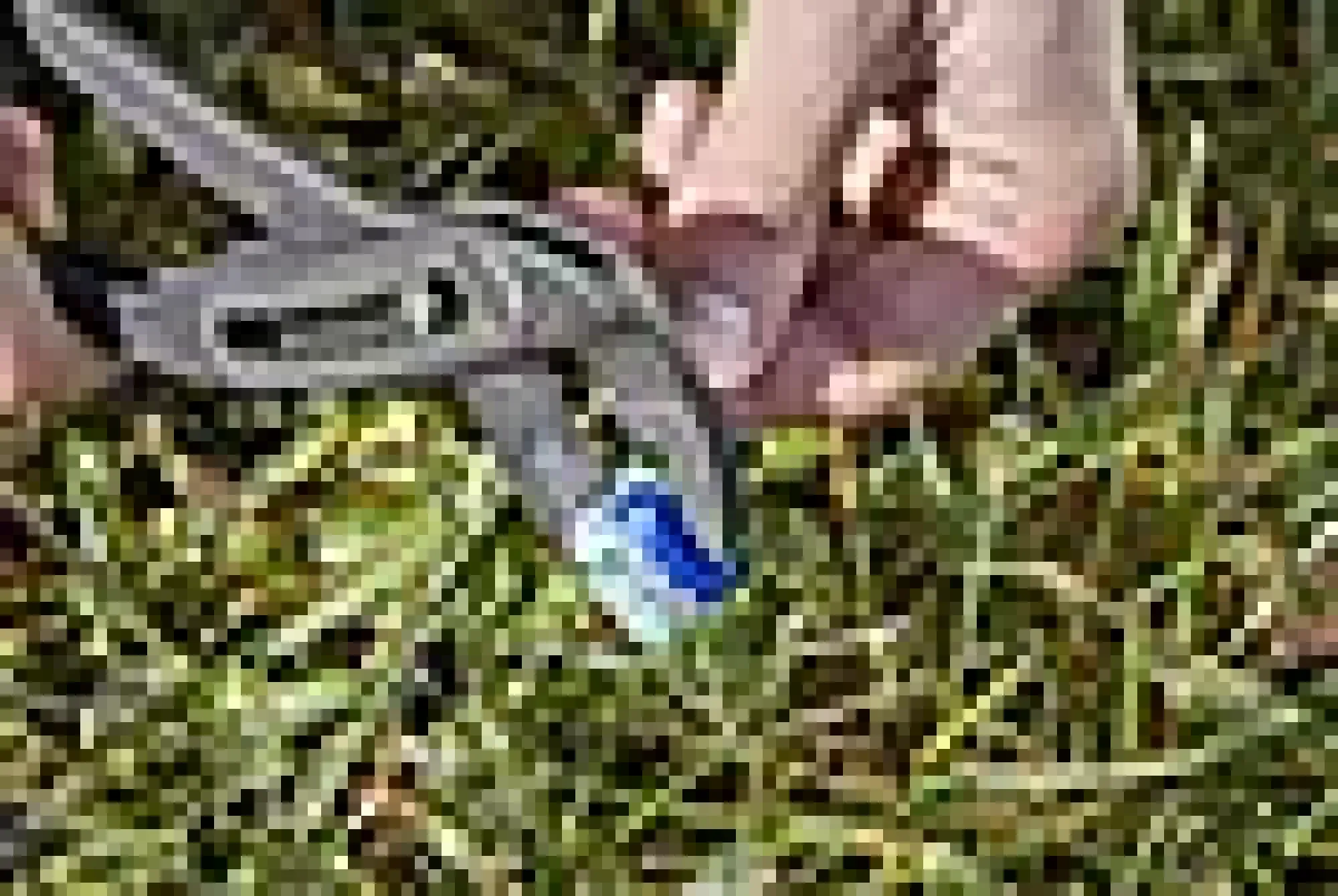 Forbindelsesledd tilkoblingsklemmer-Gardena Sale