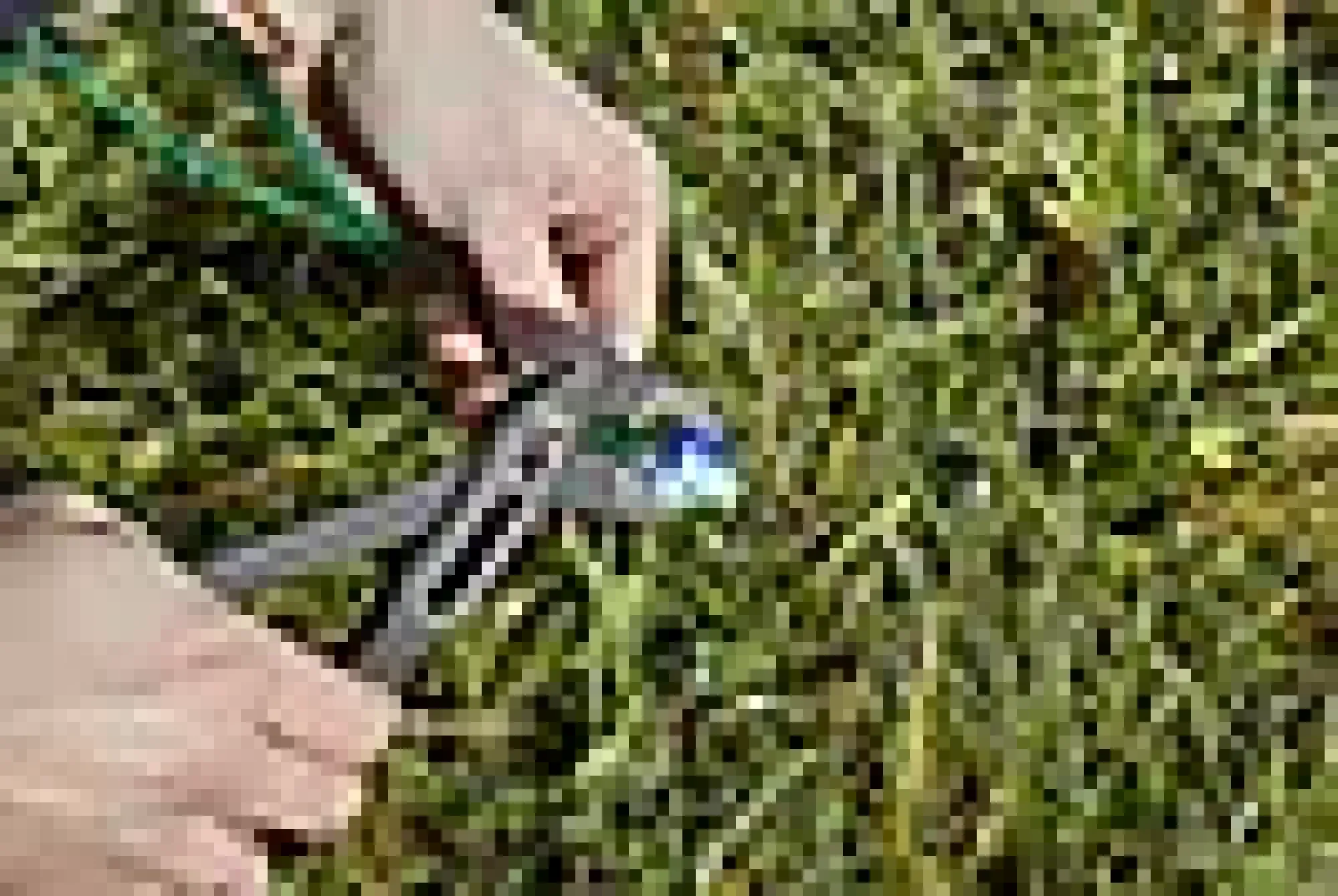 Forbindelsesledd tilkoblingsklemmer-Gardena Sale