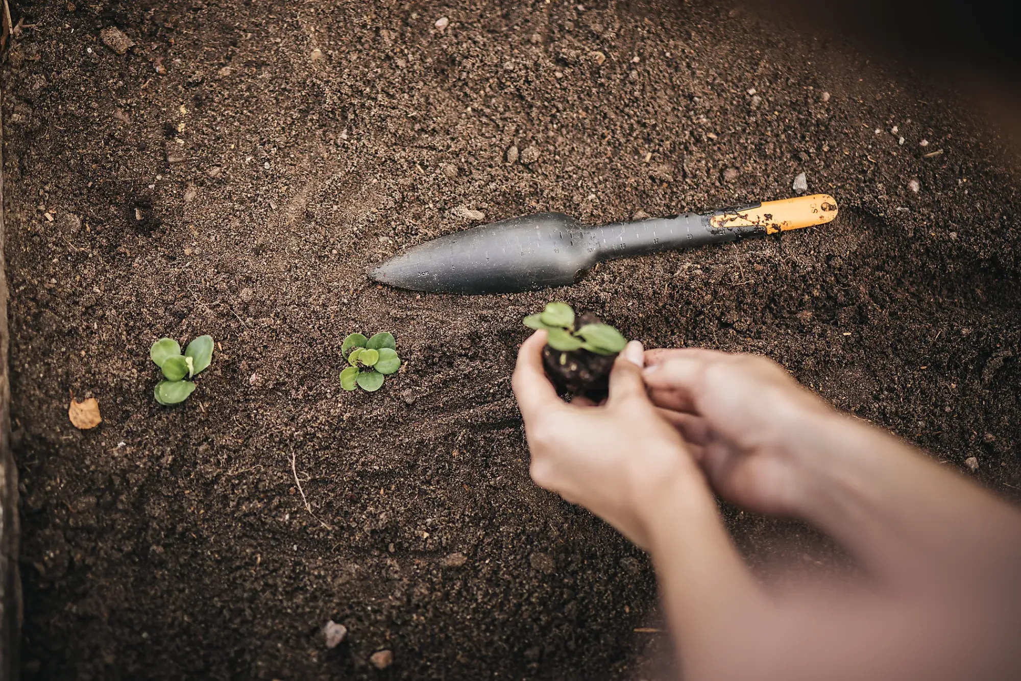 FRØ OG PLANTESKJE SOLID-Fiskars Clearance