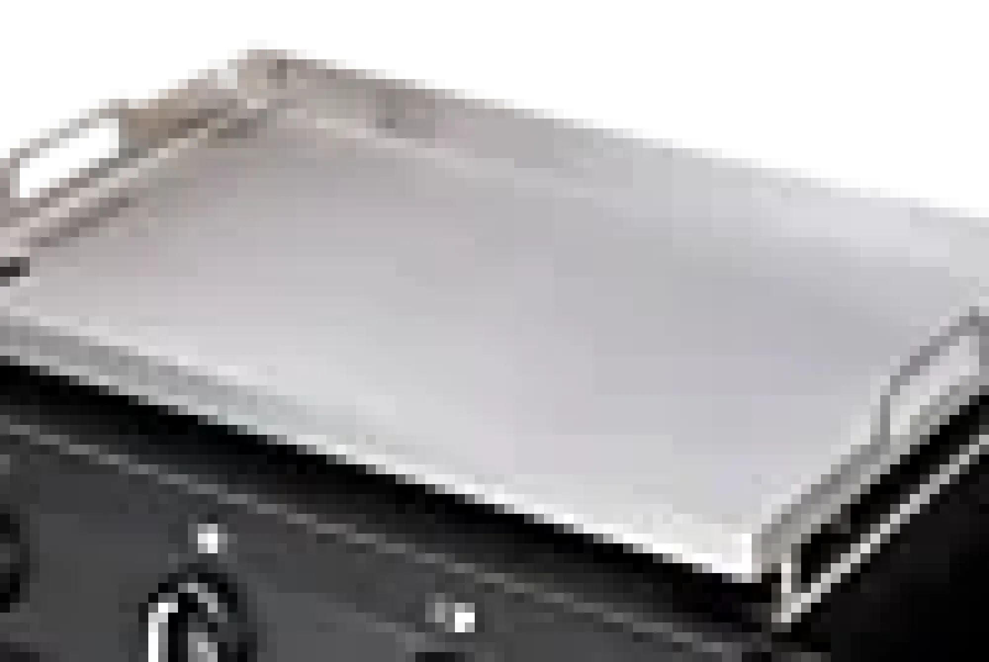 Gassgrill Plancha Amaro-Enders Outlet