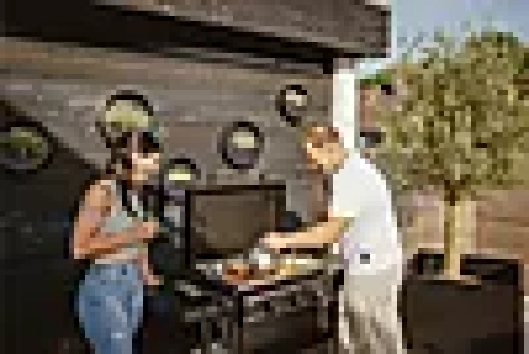 Gassgrill Plancha Amaro-Enders Outlet