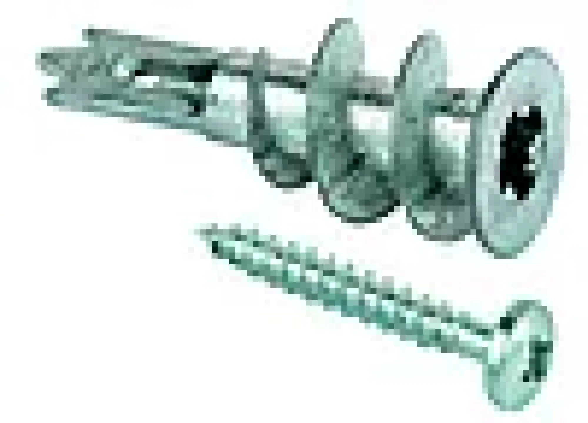 Gipsanker Driva 1-27mm 100stk-Fischer Best