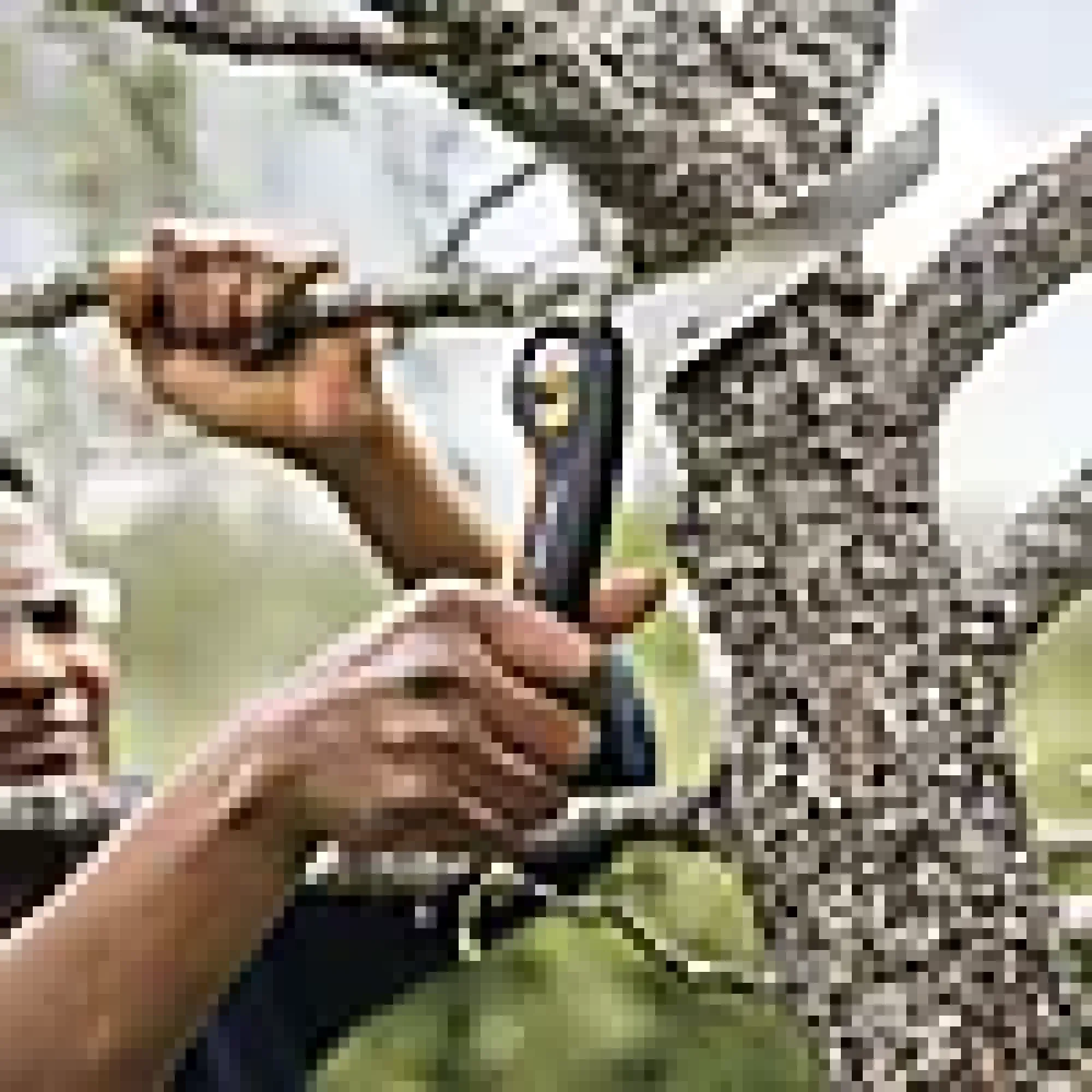 Grensag foldbar PLUS M SW68-Fiskars Outlet